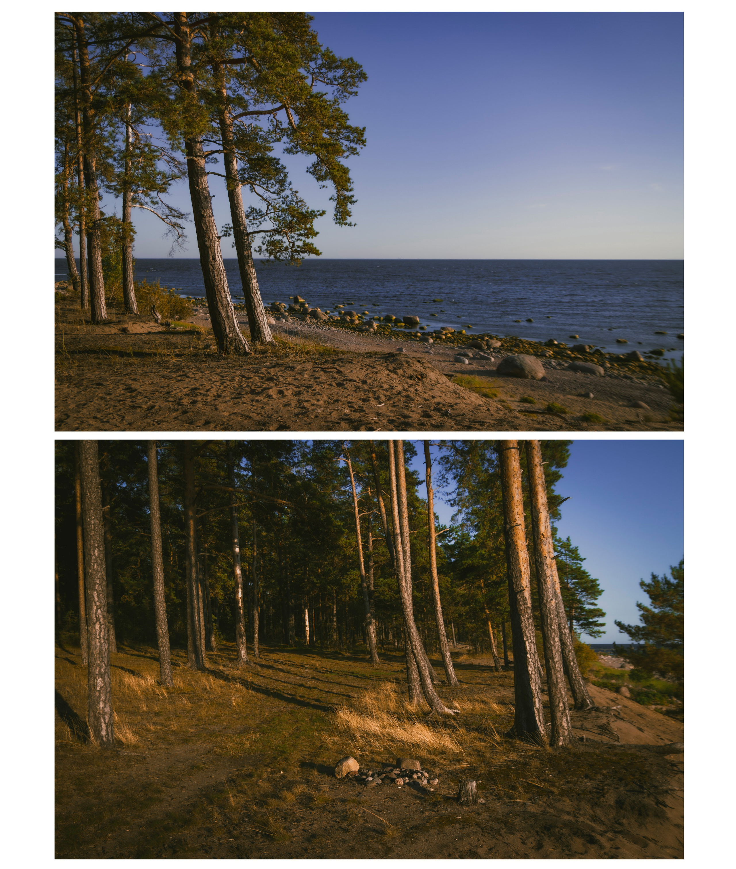 Из наблюдений. Плак или Квак