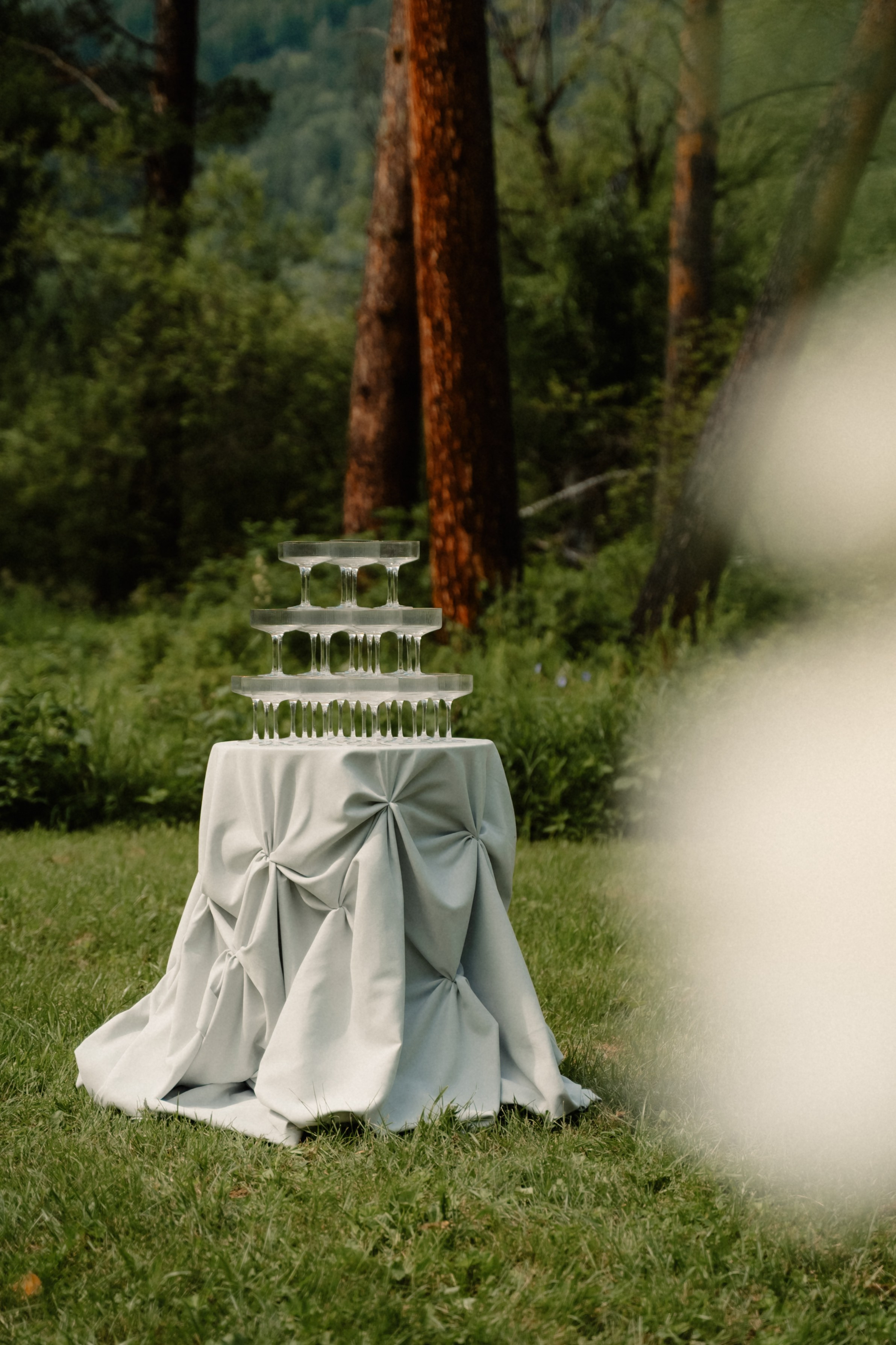 Юрий и Валерия. Организатор Романова Любовь