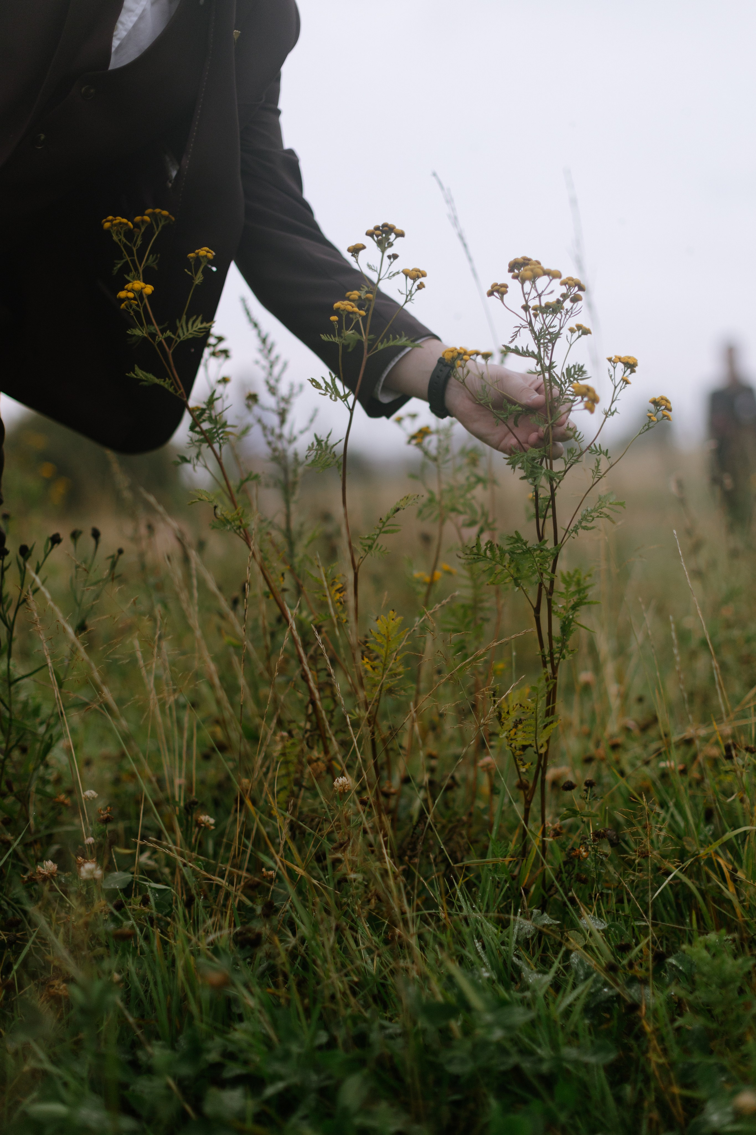 Никита и Анна. @dariazphoto свадебный фотограф