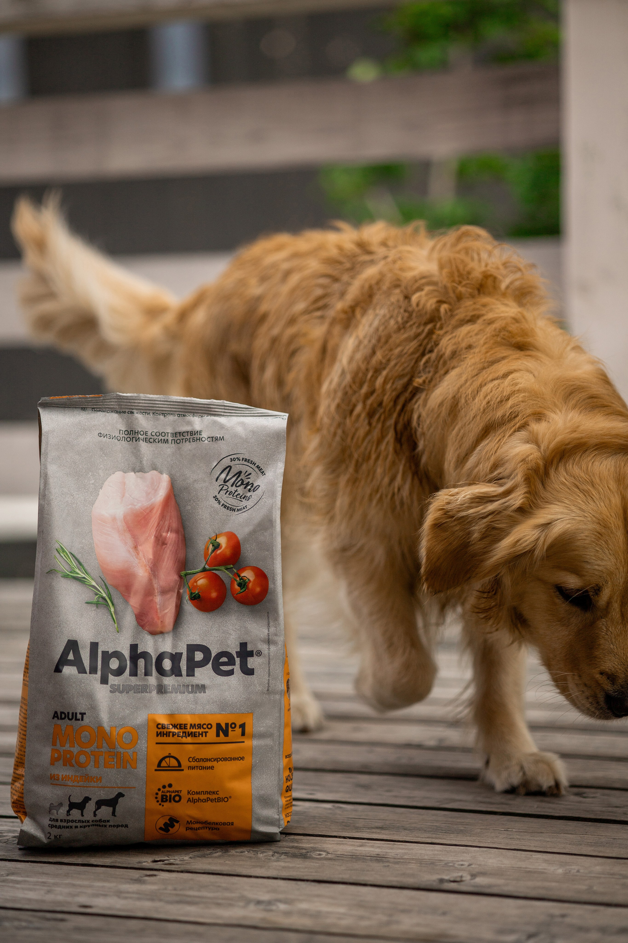 Корм AlphaPet. Анастасия Белаш