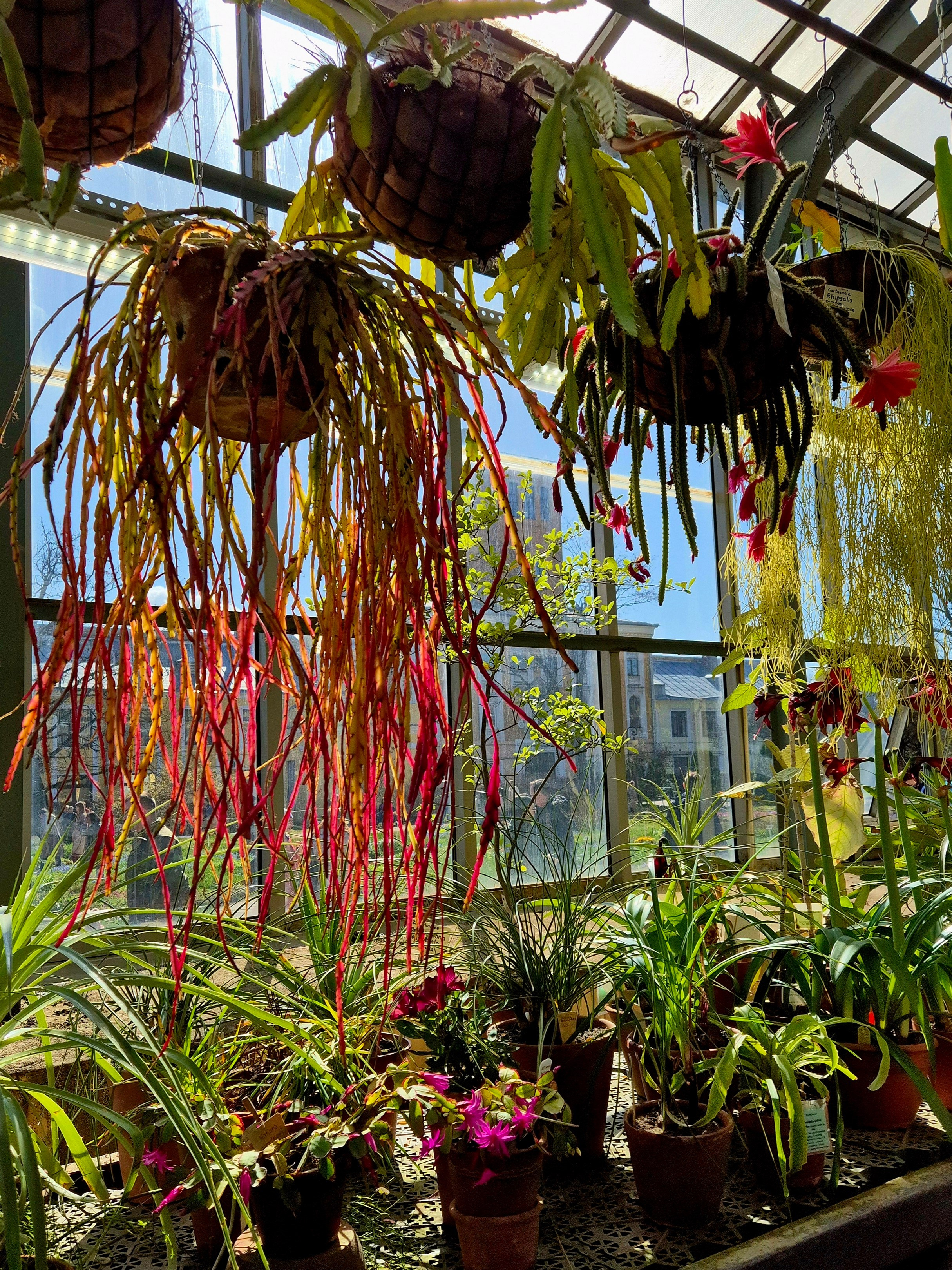 Вид на постройку в саду - главное здание, в котором располагаются лаборатории с такими красивыми названиями, что захотелось забросить ИТ. Я б в ботаники пошел, пусть меня научат...