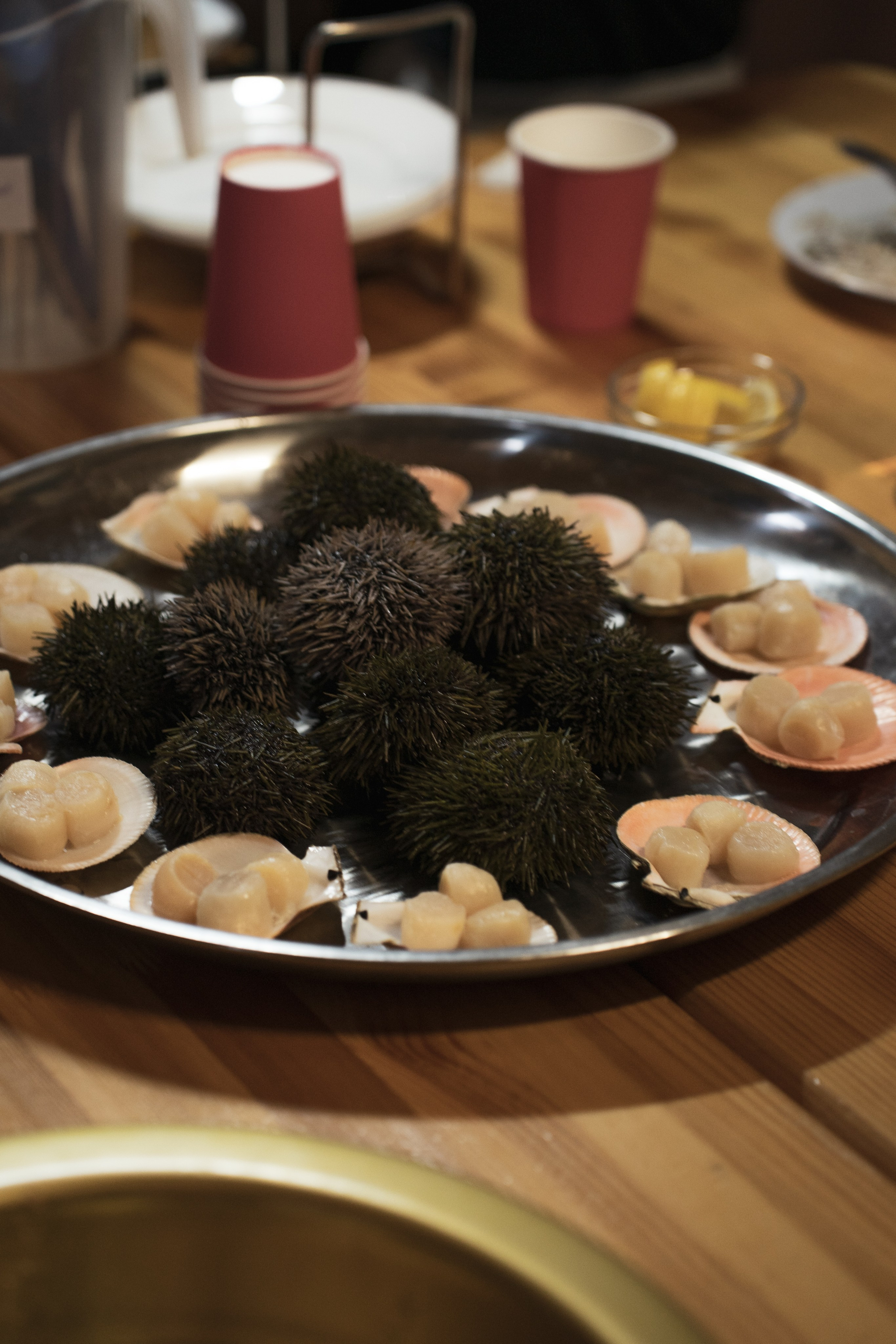 Териберка — репортаж тура Ковчег 51. Видеограф в Санкт-Петербурге Анастасия Коок