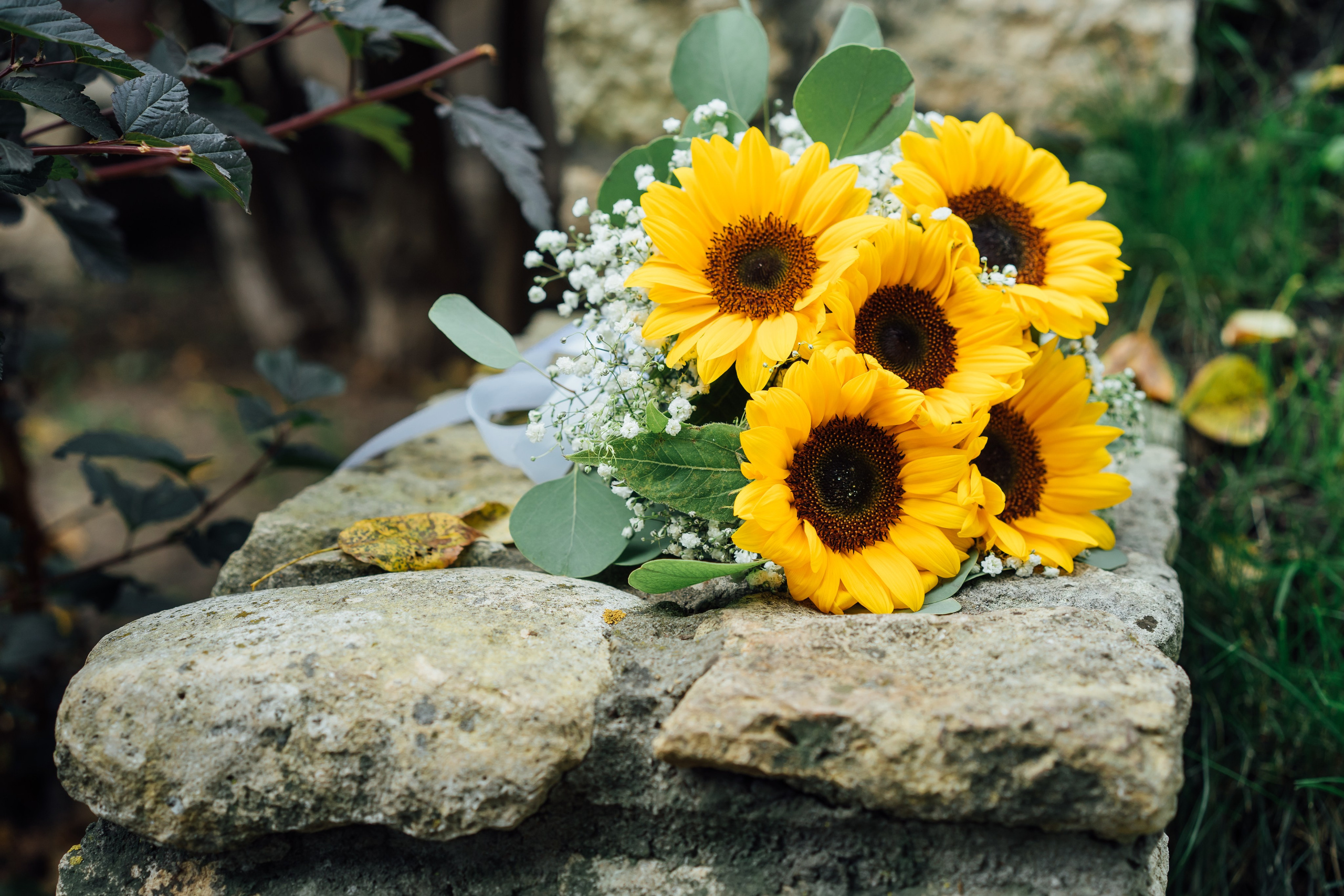 Алексей и Екатерина 06.09.2025 свадебная прогулка. Свадебный фотограф в Коломне, Воскресенске, Егорьевске Владимир Петров