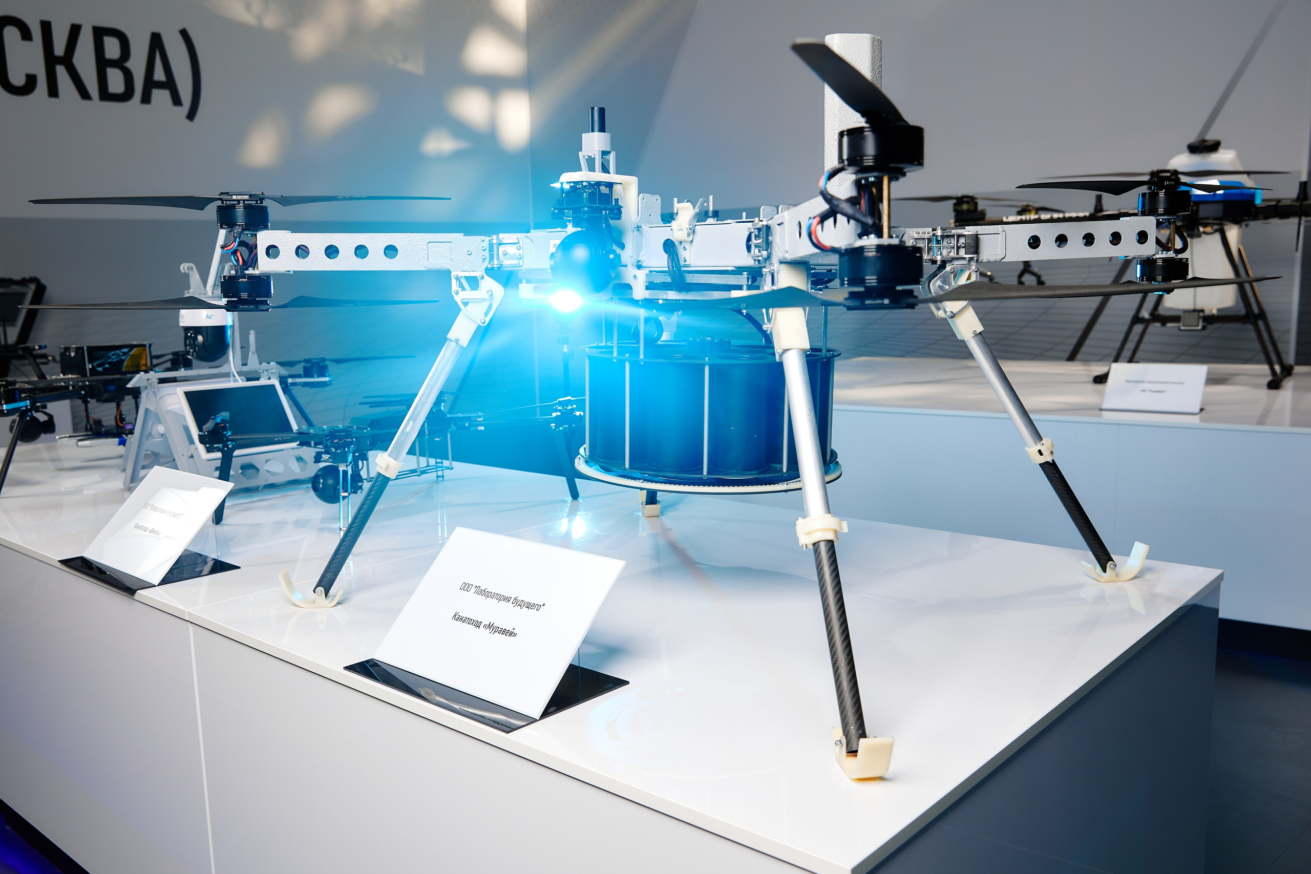 Выставки. Artem Ganja Photographer