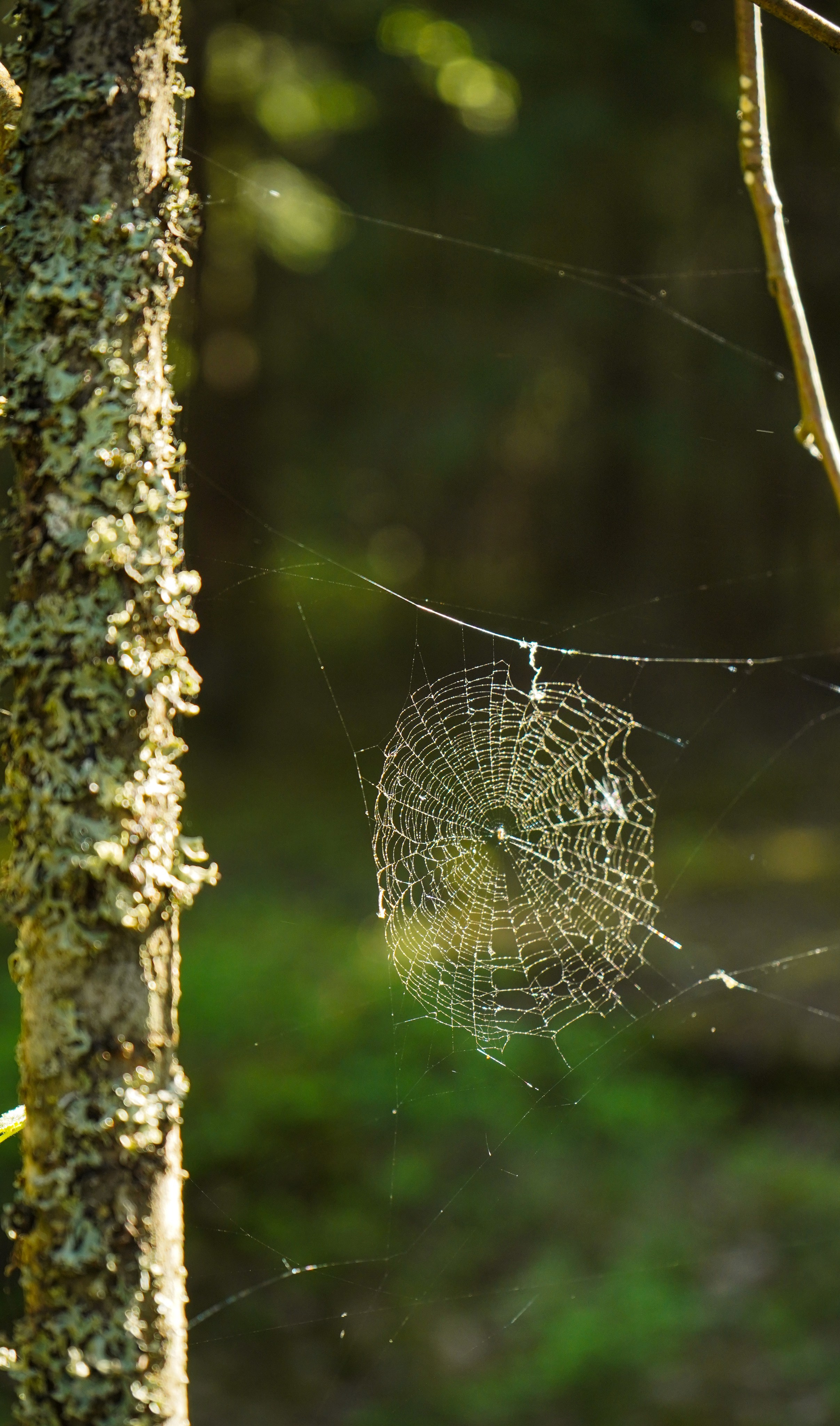 Разное. Фотограф в Санкт-Петербурге Виктория Барышникова
