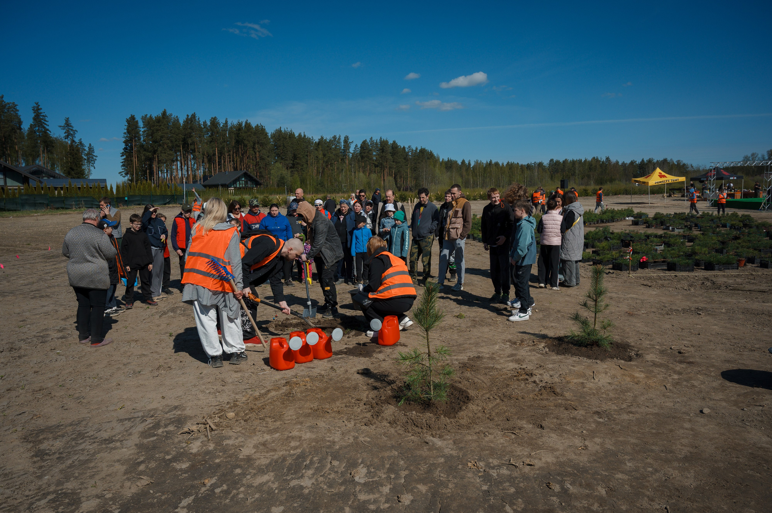 Кедровый парк Biotropika. Ваш свадебный и репортажный фотограф в Санкт-Петербурге Вячеслав Ивахненко