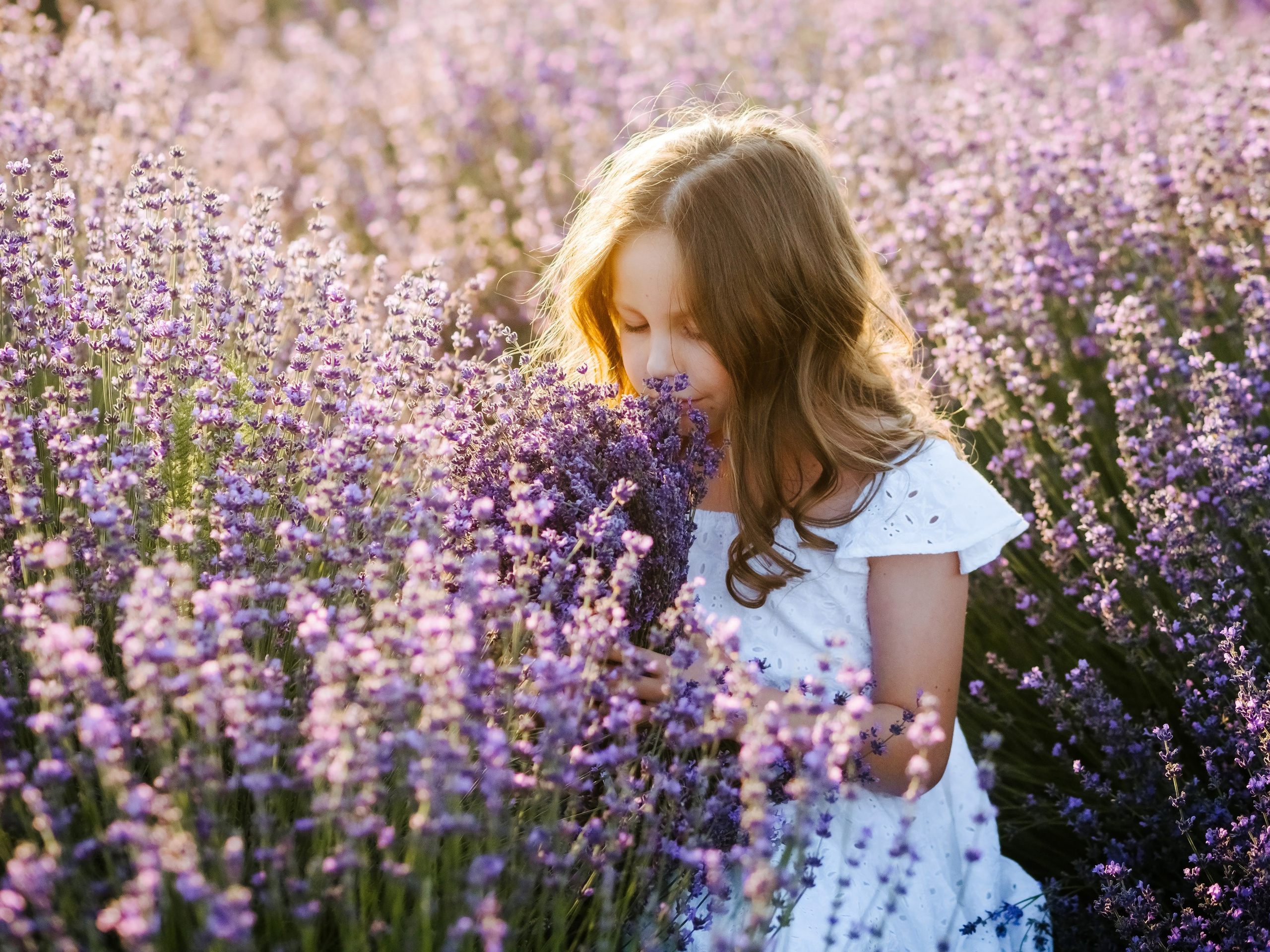 Lavender. Семейный, детский, свадебный, фотограф в городе Анапа