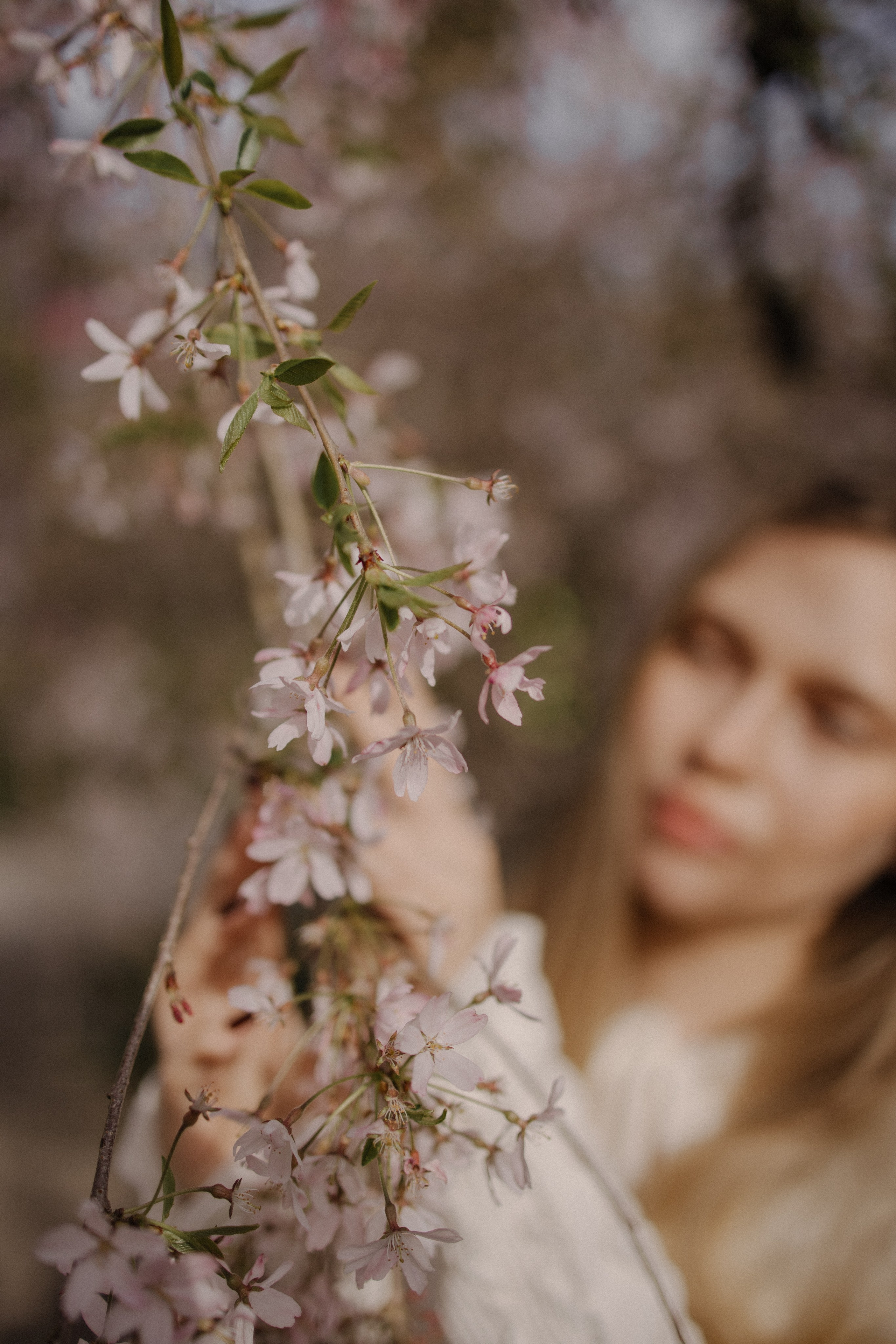 Света в сакуре. Фотограф Сочи Адлер Сириус Красная поляна Олеся Минив