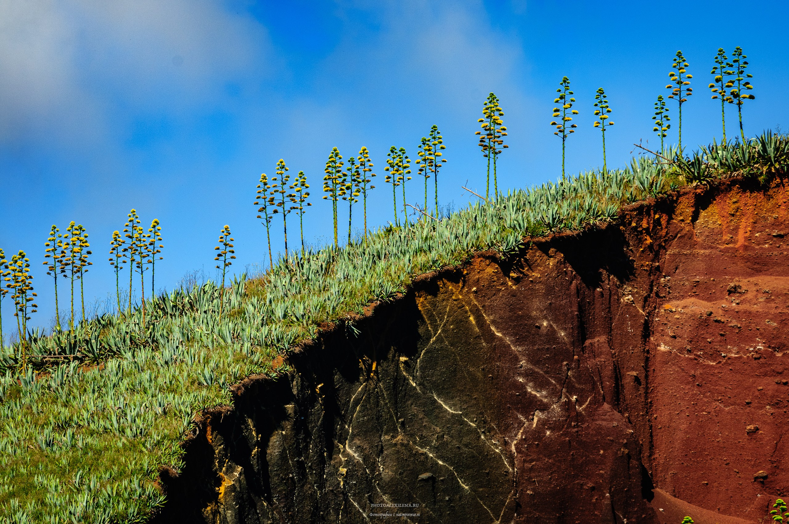 Осязаемая красота. Авторские стильные фотокартины