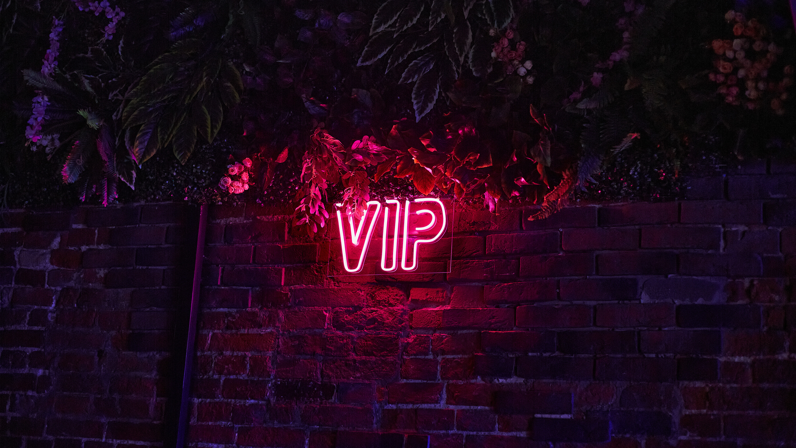 2023-04-08. IRA INFEROS (концерт в Москве, IZI)