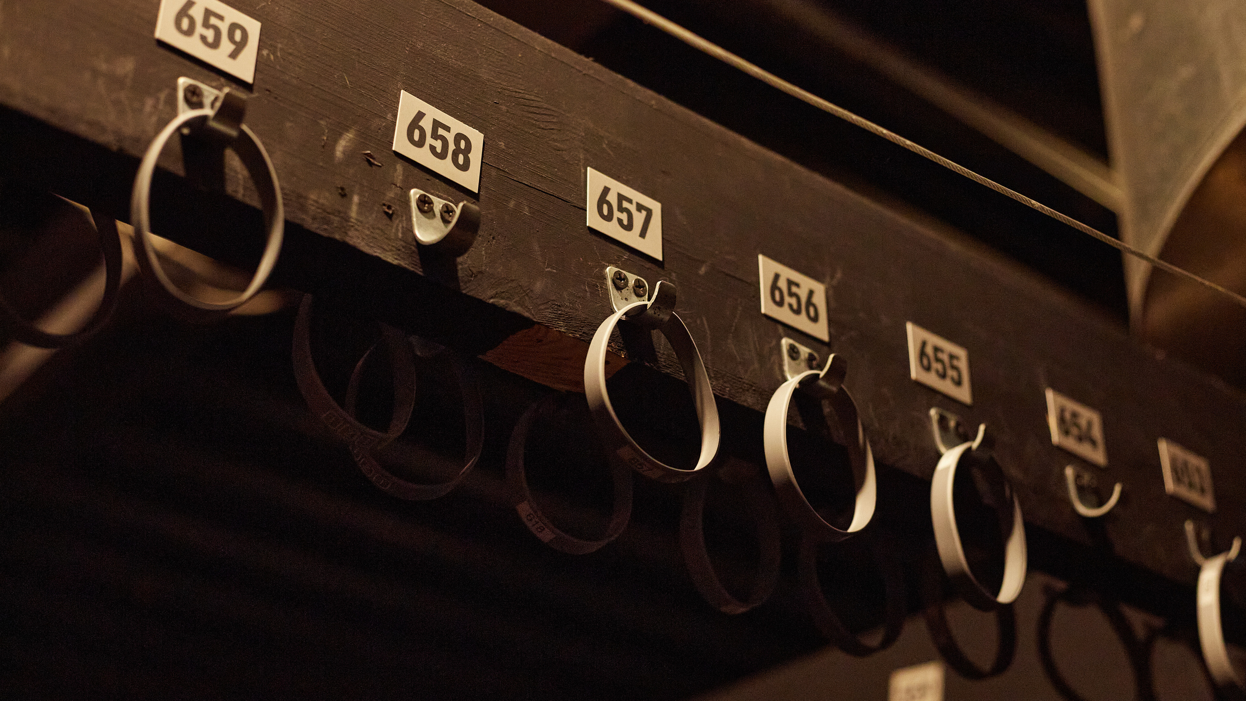 2023-04-08. IRA INFEROS (концерт в Москве, IZI)