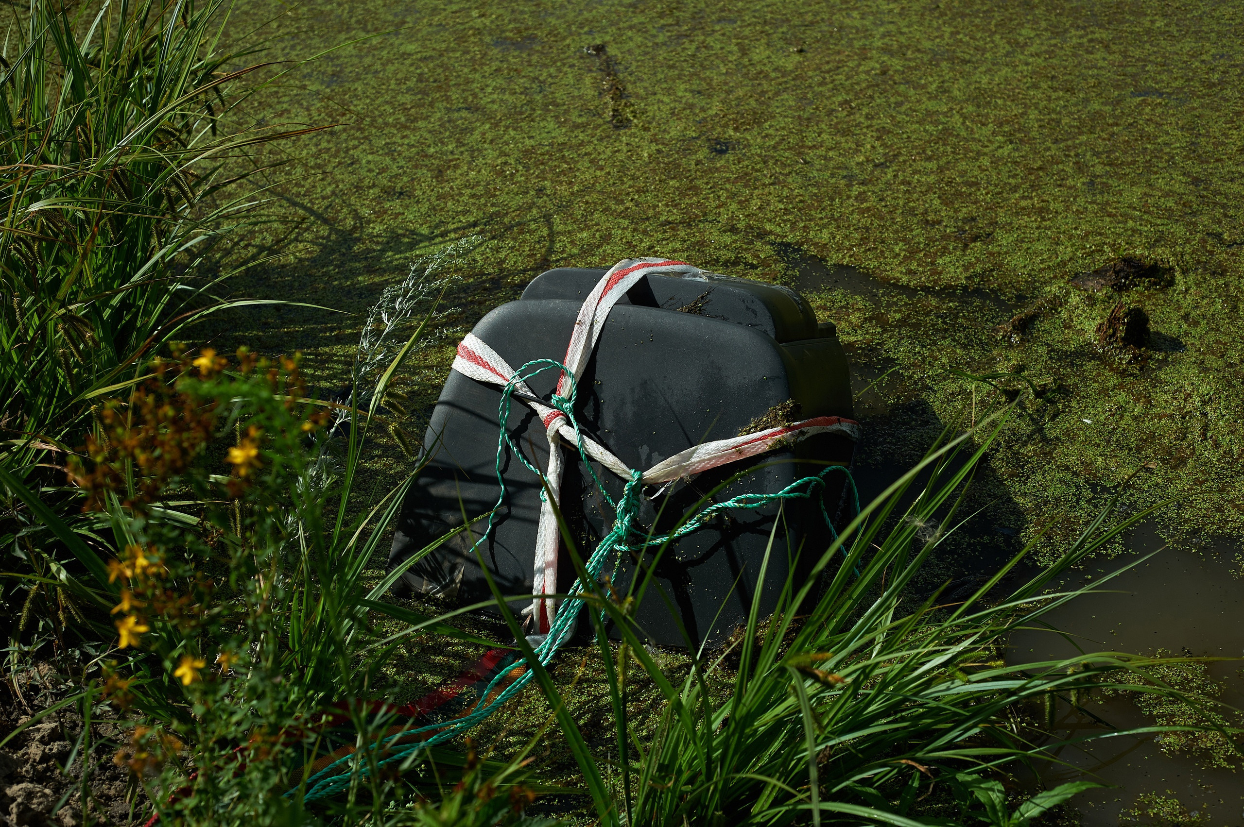 ПRЯМОЙ ЭФИР!