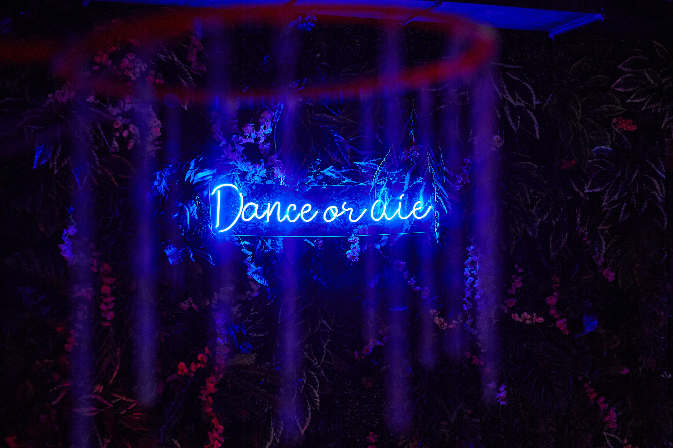 2023-04-08. IRA INFEROS (концерт в Москве, IZI)