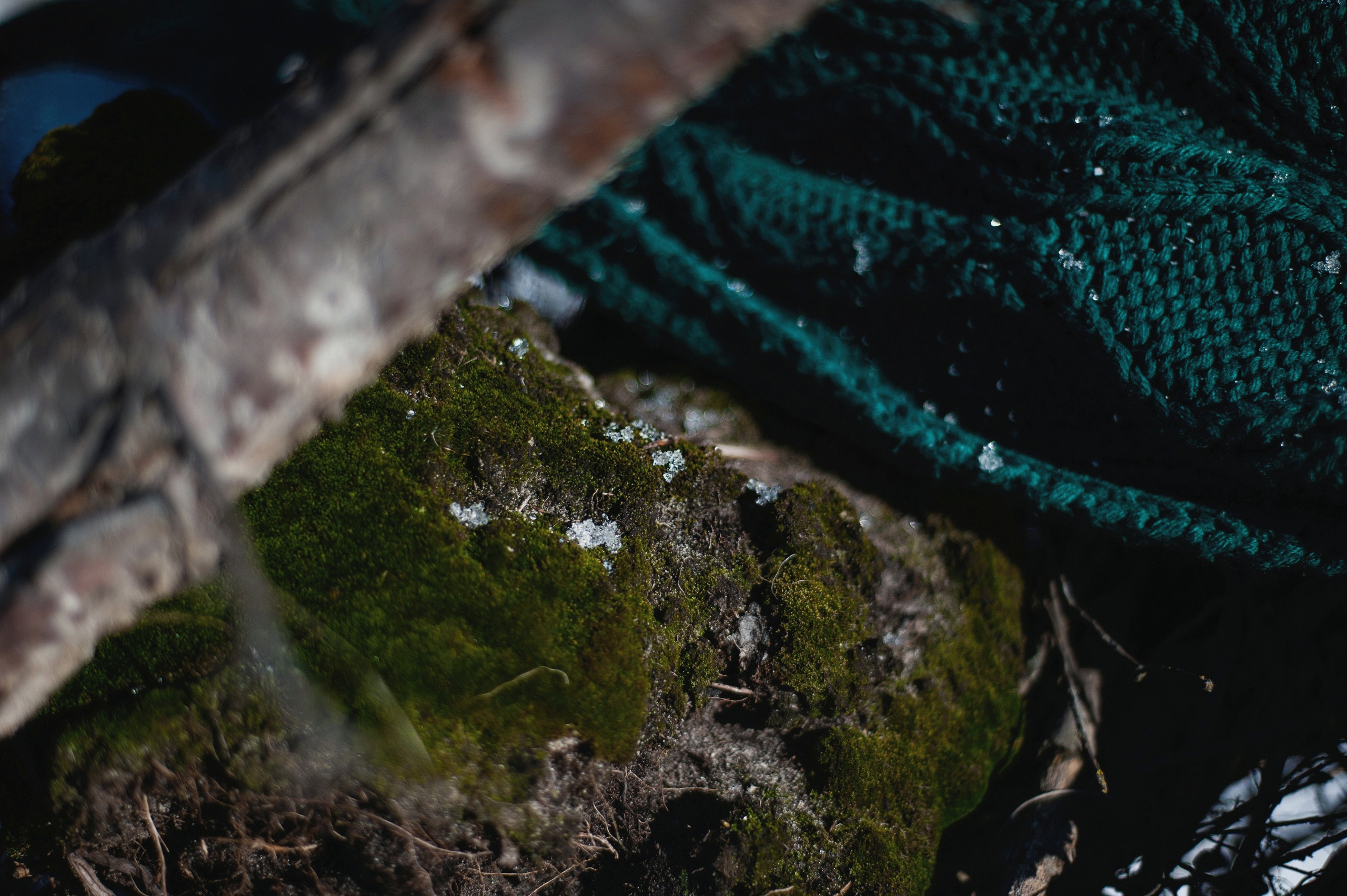 Marianne (chapter 2)