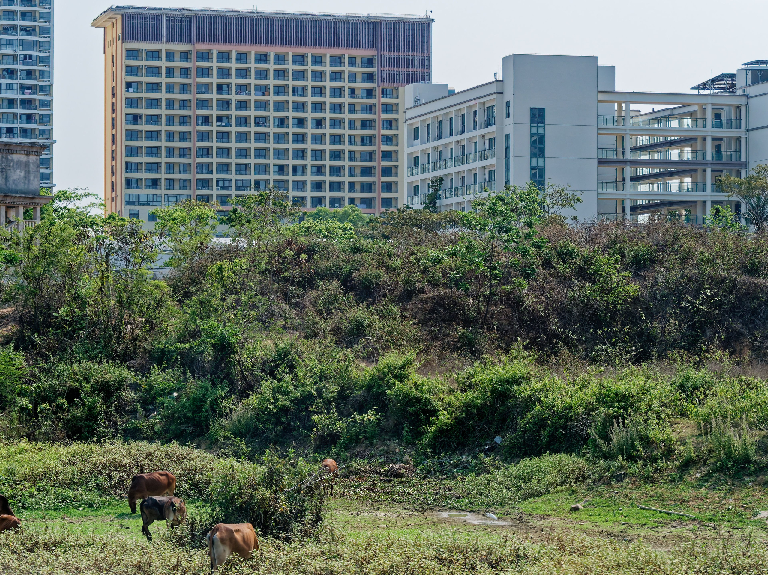 Хайнань 2026, улицы Ялунвань и Саньи. Фотопрогулки по Миру