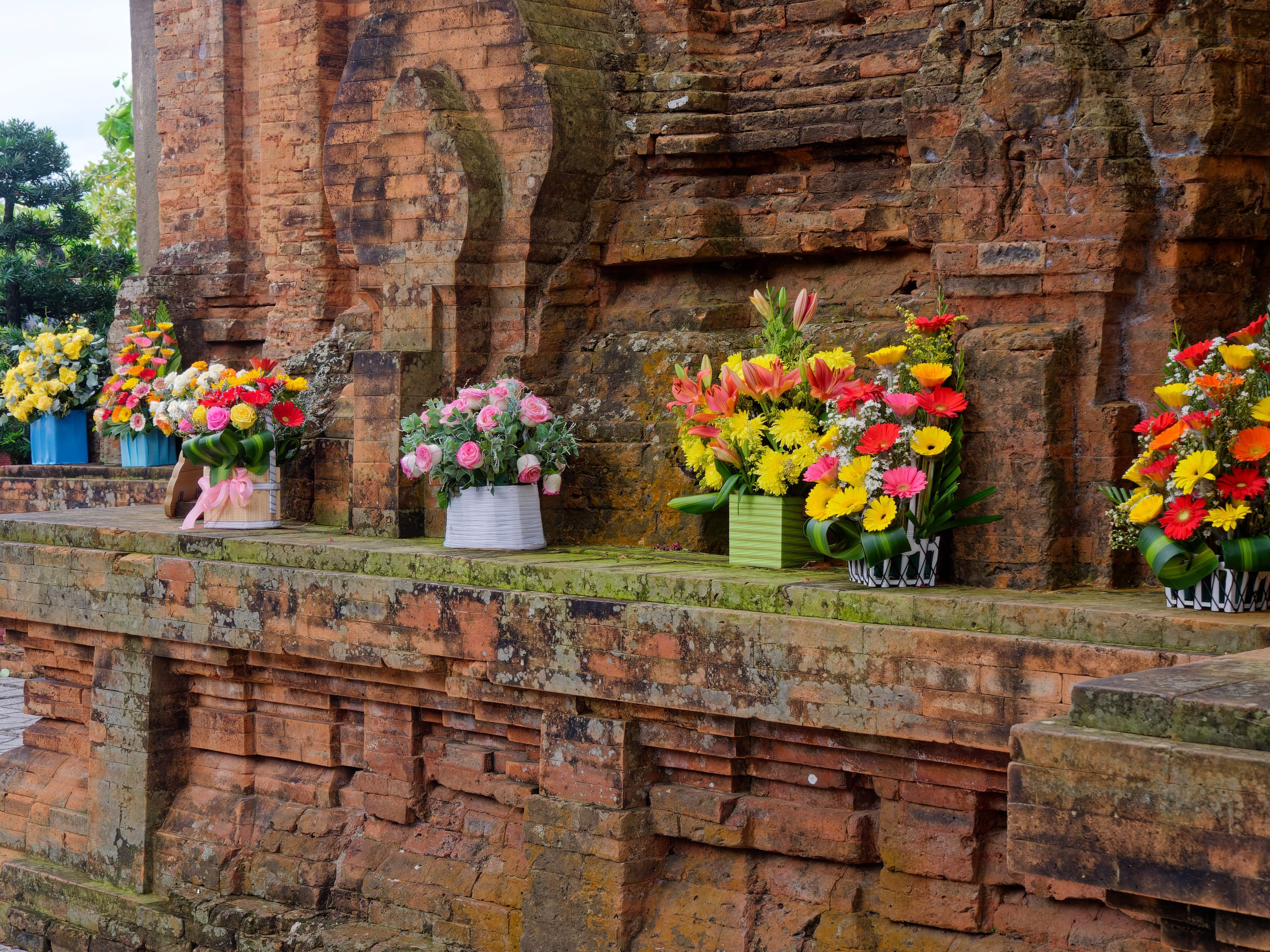 Нячанг 2025 (4). Избранные фотографии