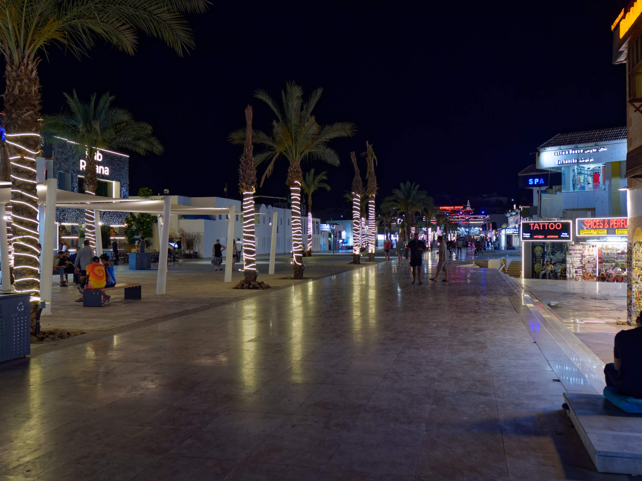 Шарм-эль-Шейх 2024. Избранные фотографии