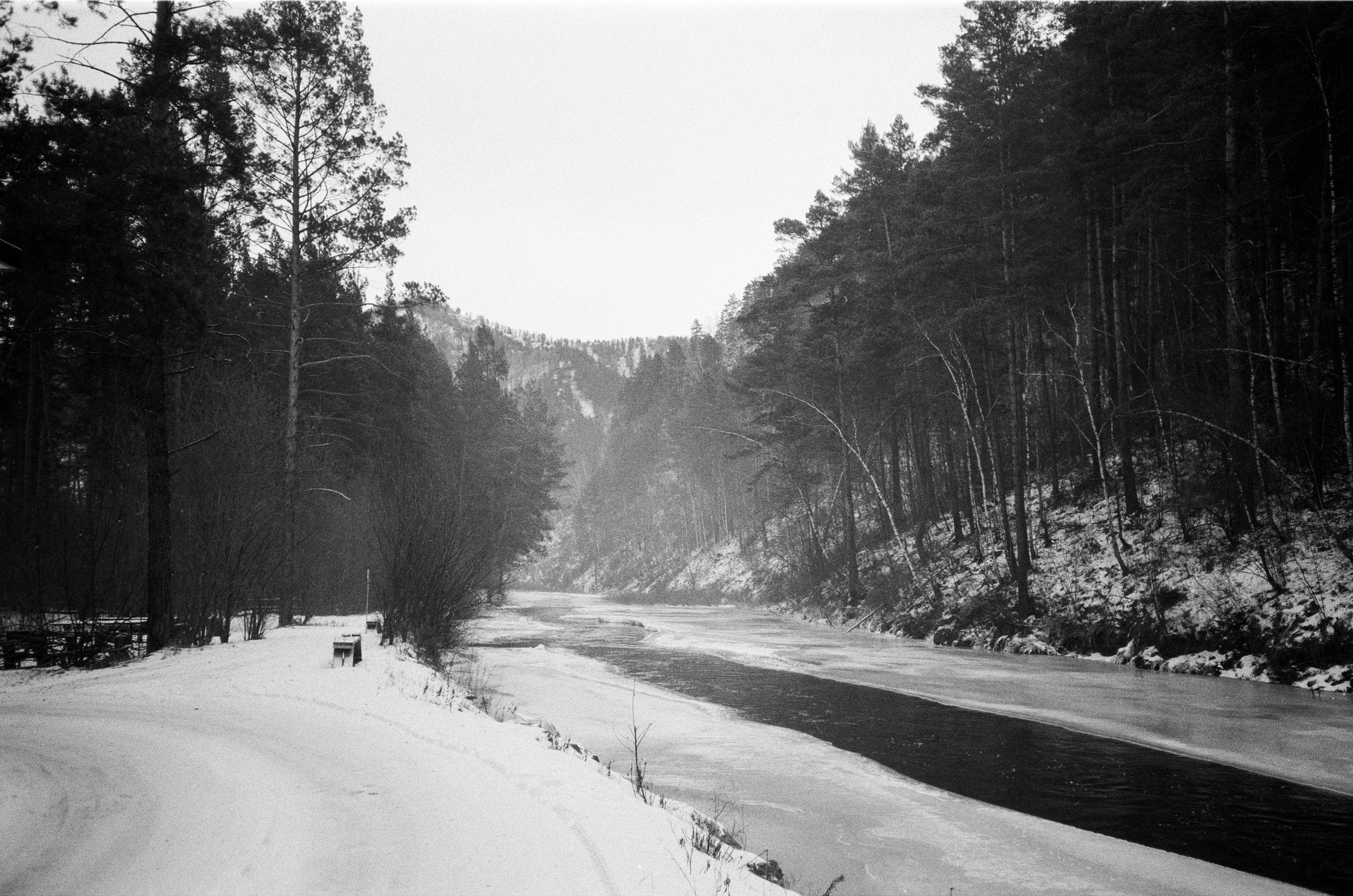 Olympus AF-10 SUPER / Ilford PAN 400 / Алтай, зима 2023 год