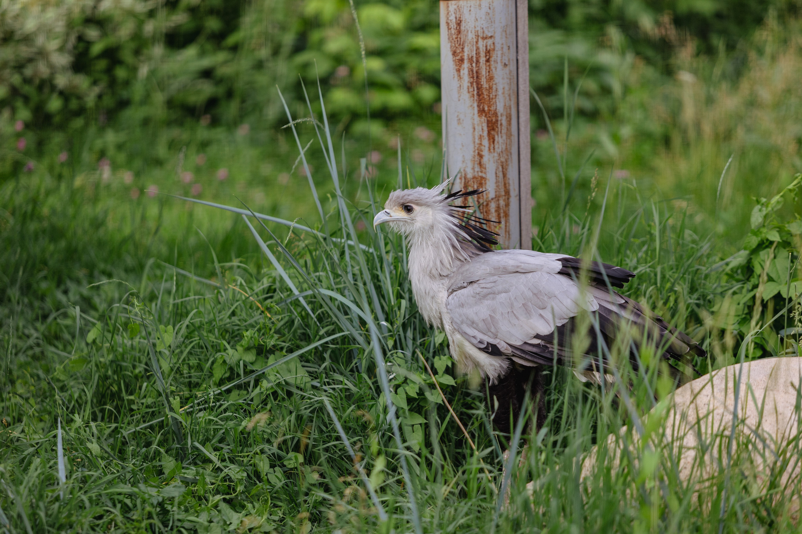 Московский зоопарк. Photographer Sonkina Tatiana (Tanya Ash)