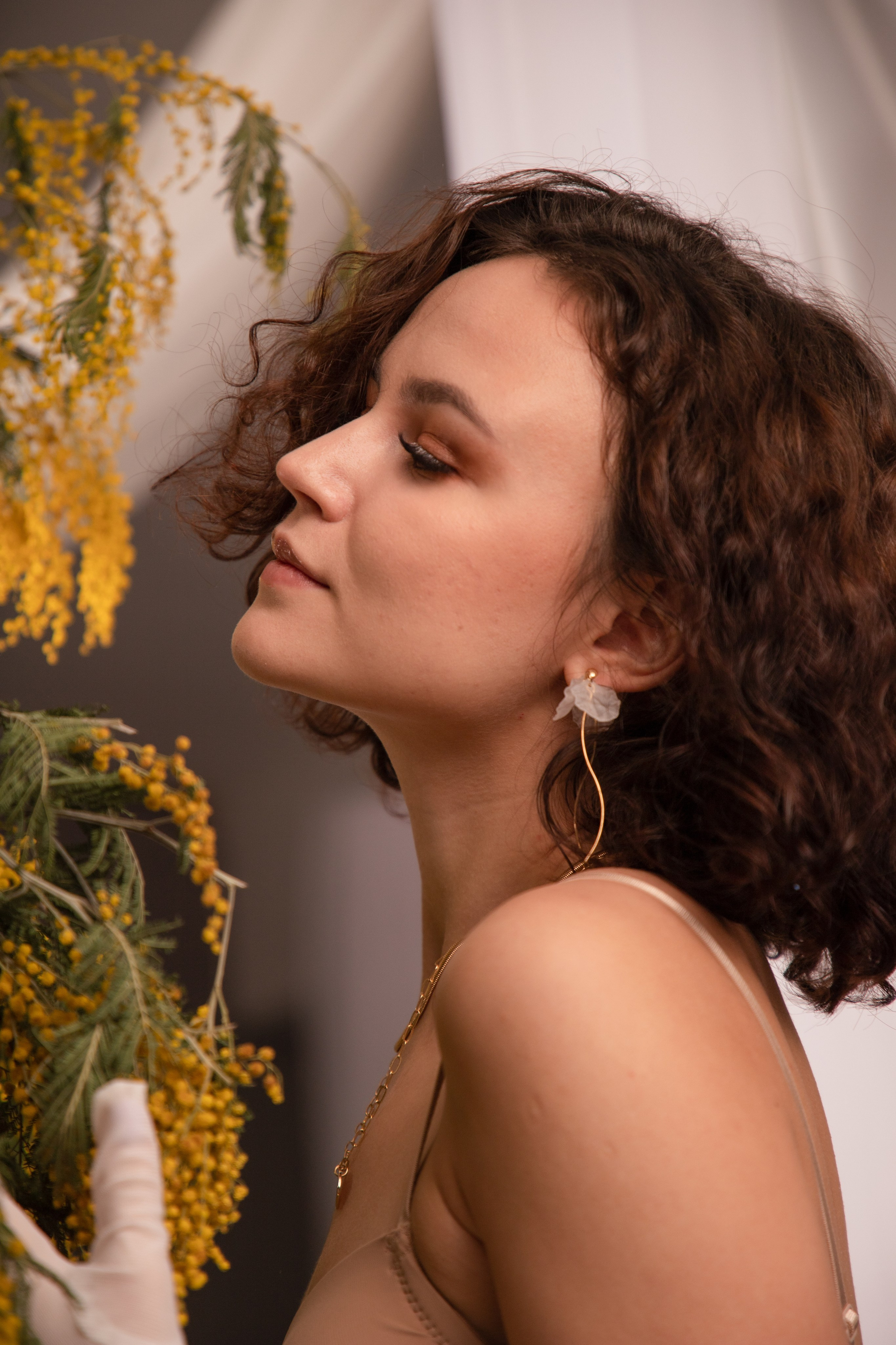 Мимозы. Фотограф Алексей Шуля — портфолио