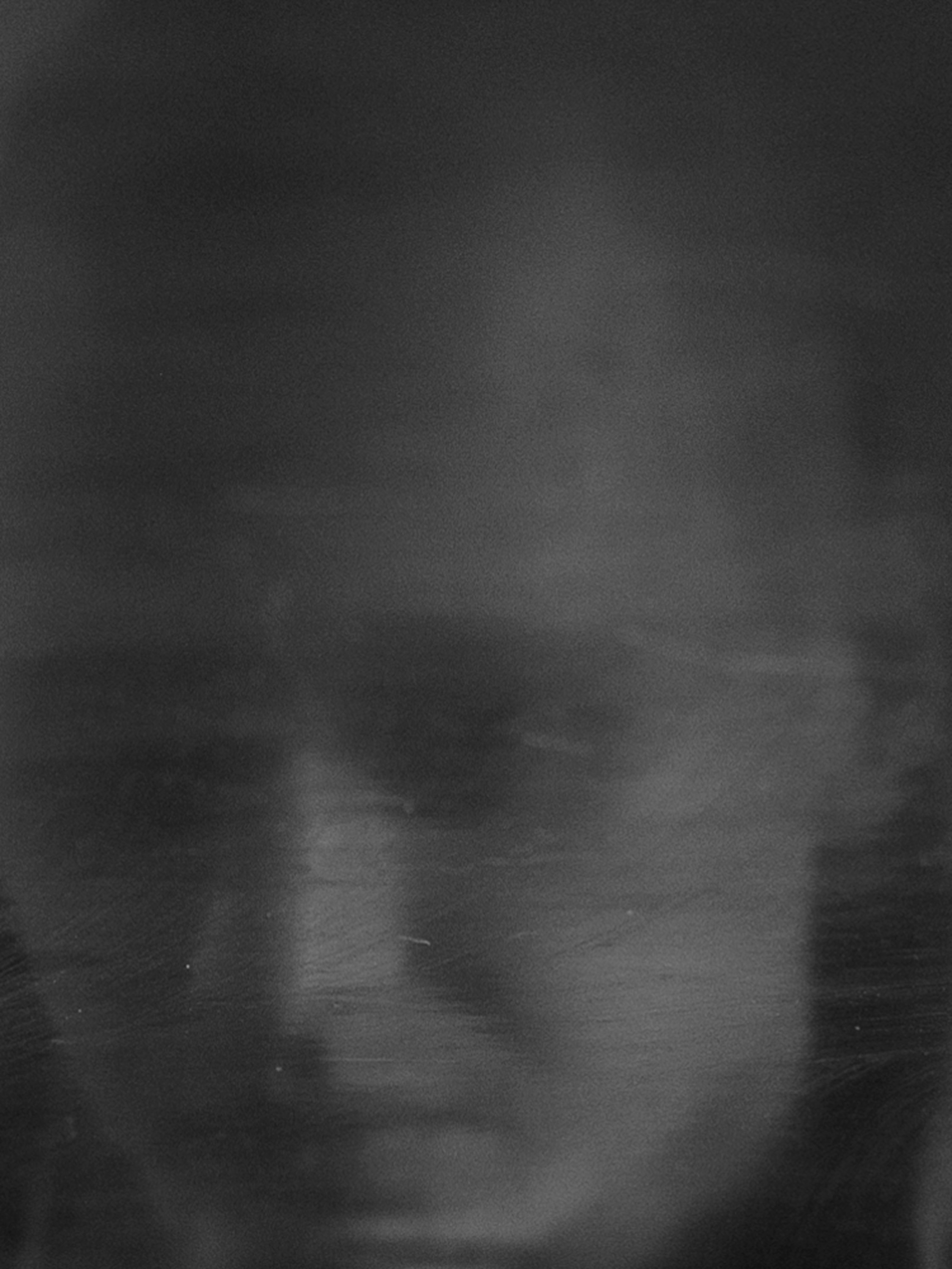 The veil. Ula Aldokhina