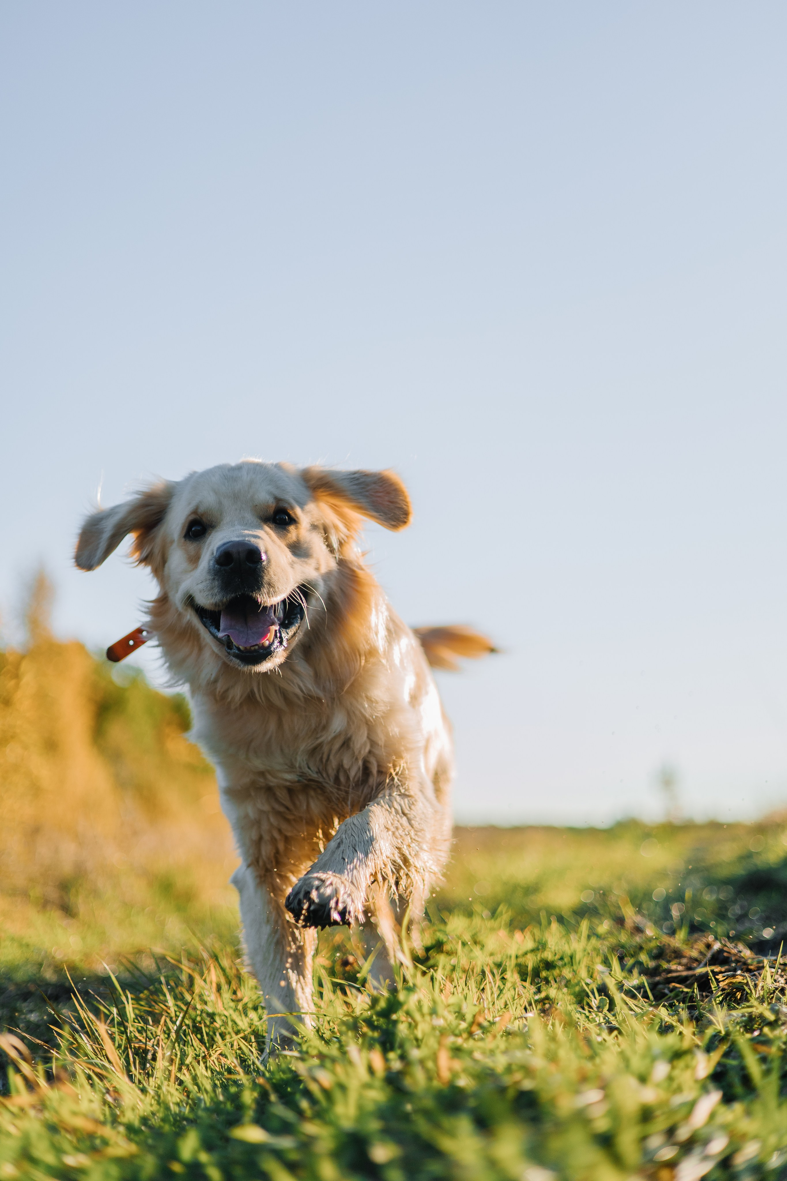 Для охотника