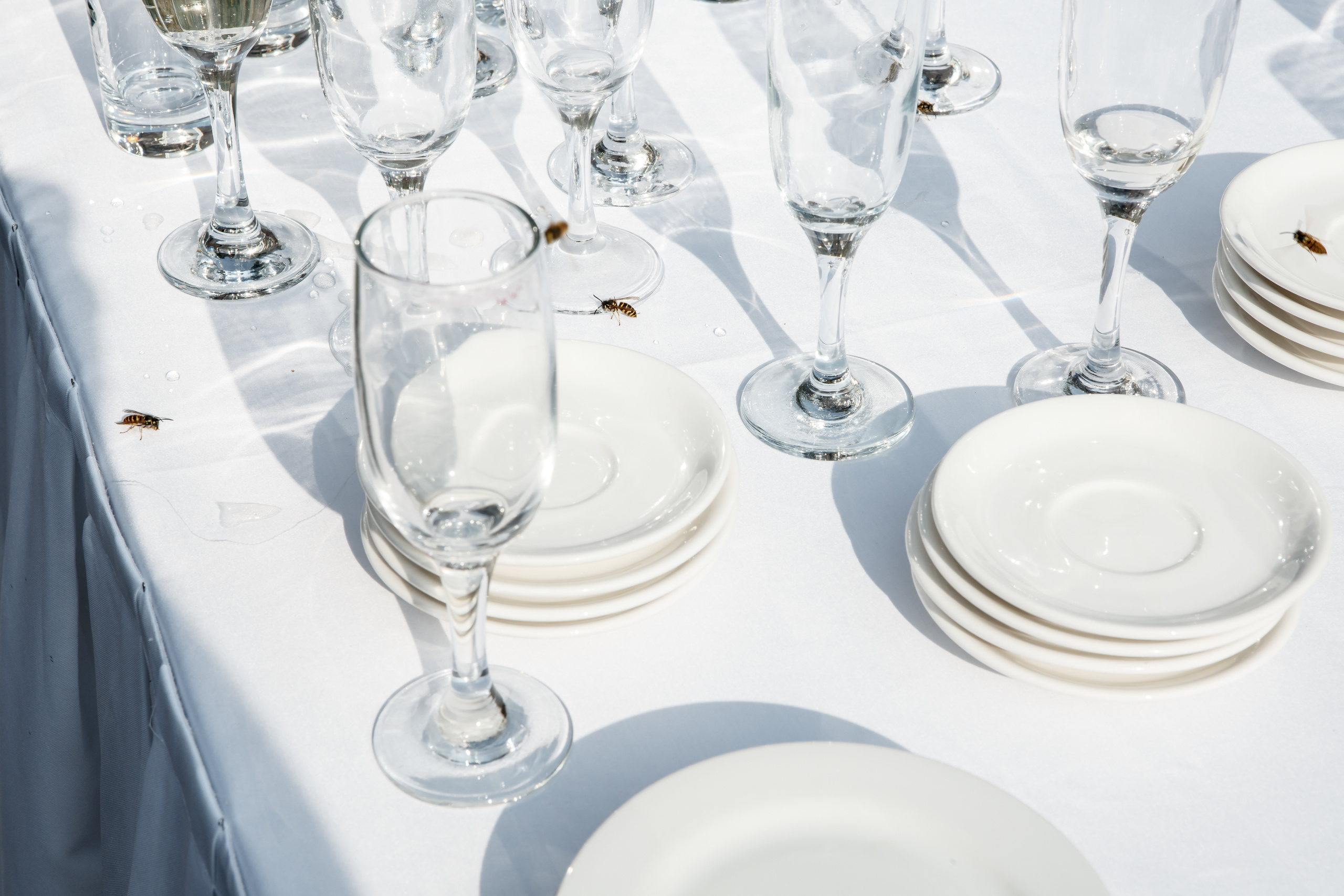 Wedding day Коля + Ання. Свадебный фотограф Колесников Антон