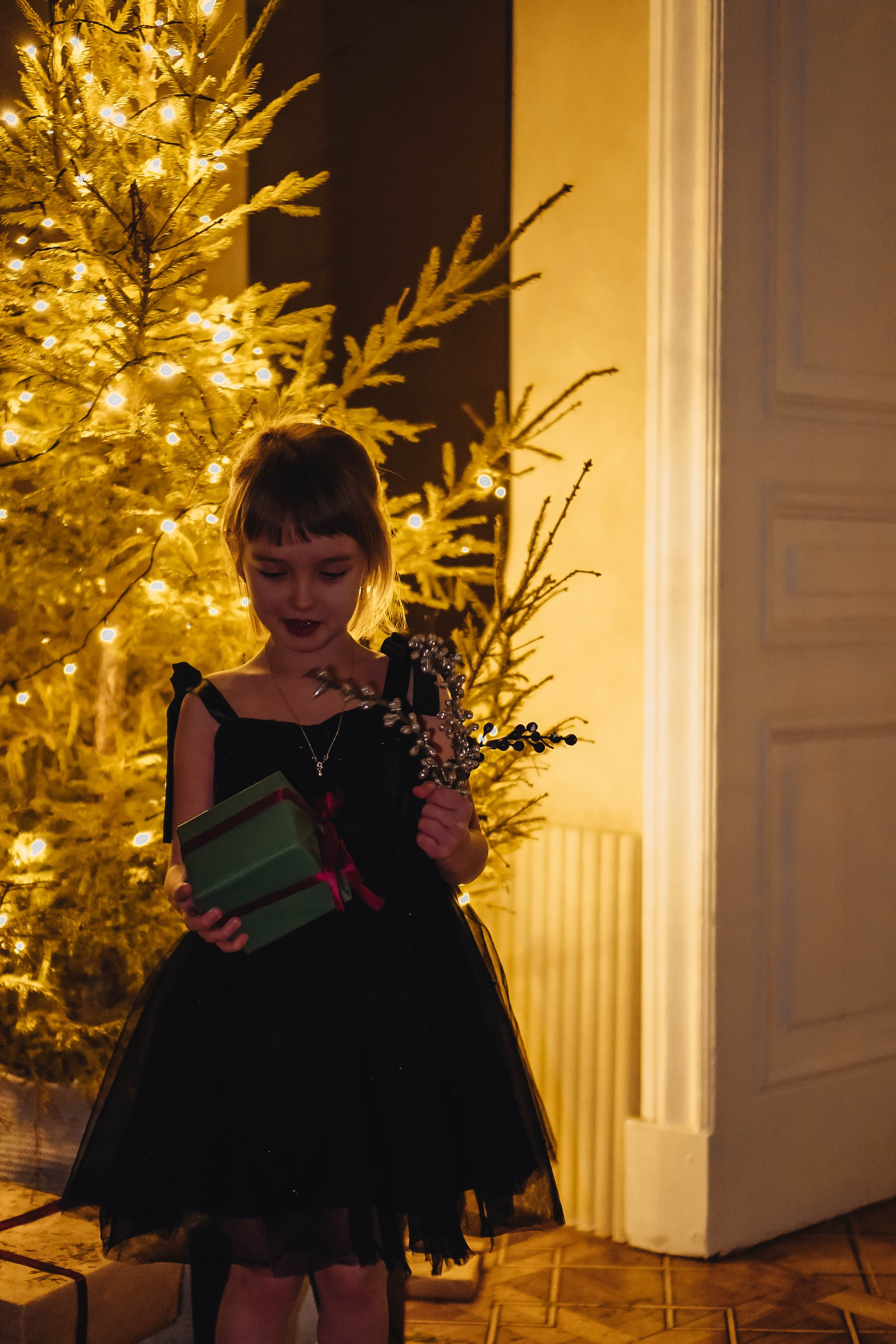 Семейная новогодняя. Профессиональный фотограф, Санкт-Петербург — Виктория Богомолова