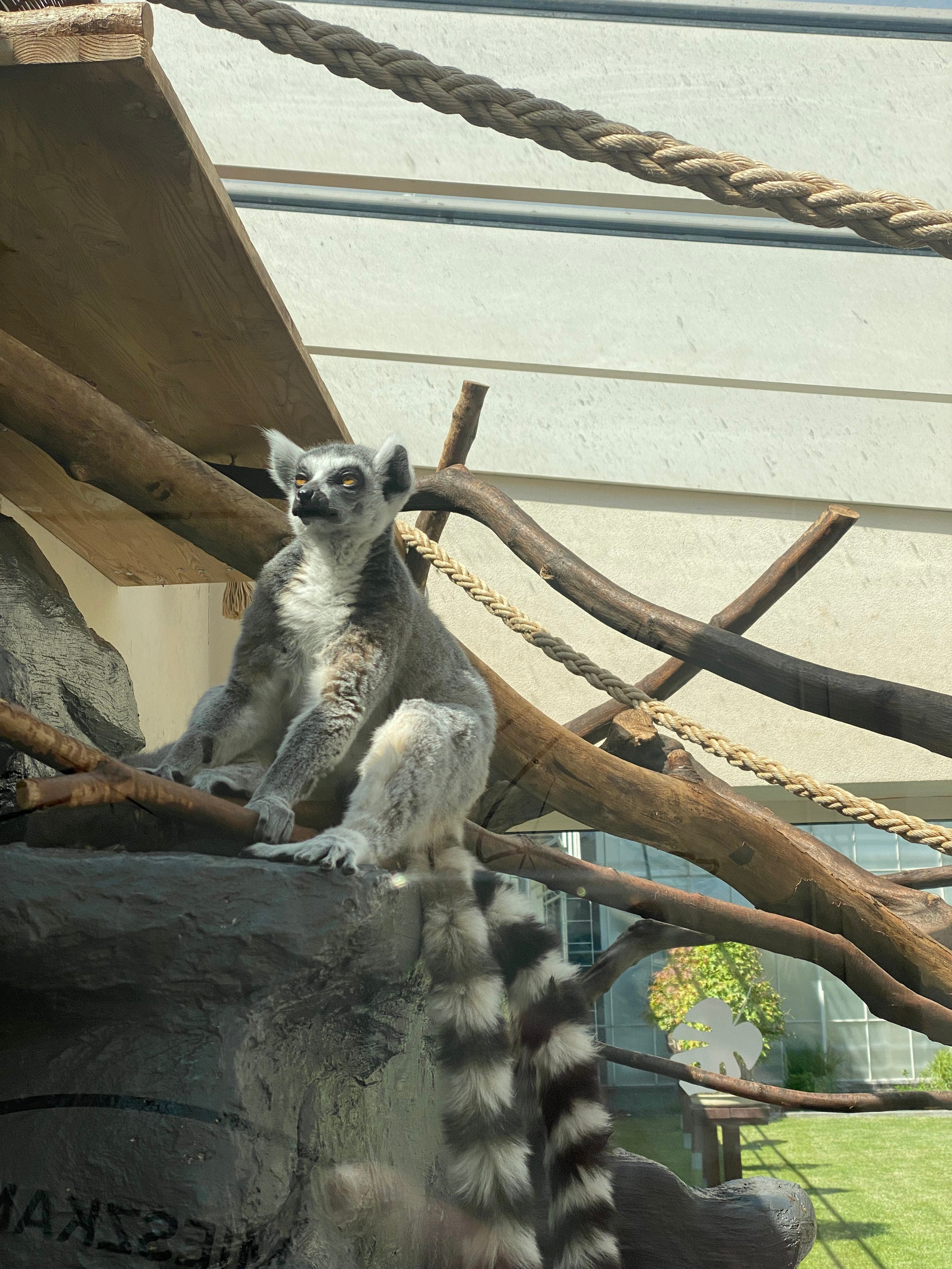 Валбджих. Своя Мастерская