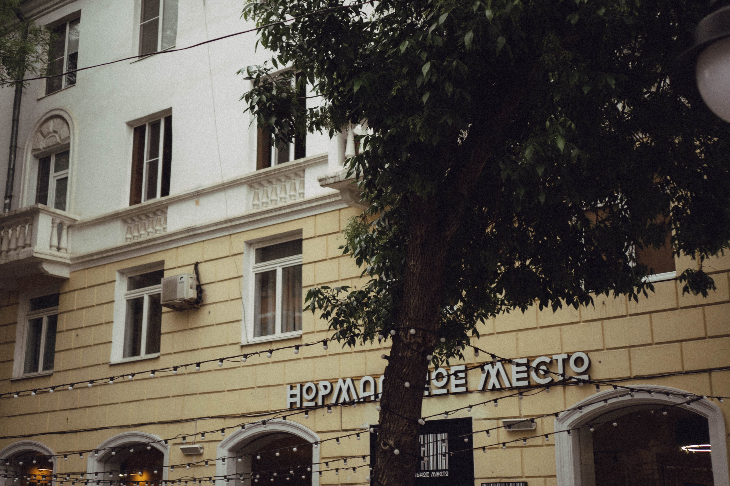 Кавказ. Профессиональный фотограф, Санкт-Петербург — Виктория Богомолова