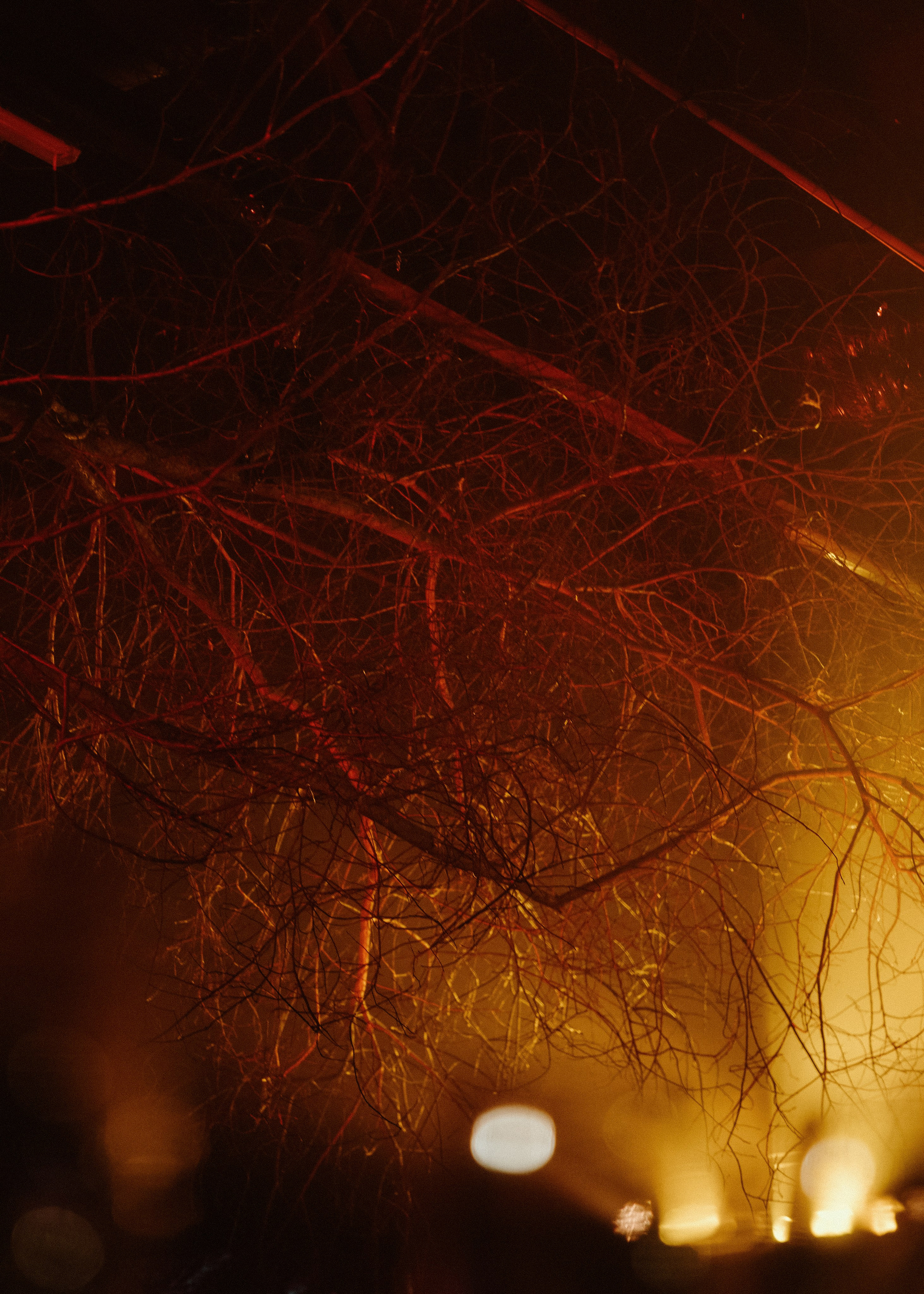 Wedding Awards Северо-Запад. Свадебный и репортажный фотограф в Москве Владимир Сергеев | Naysaikolo