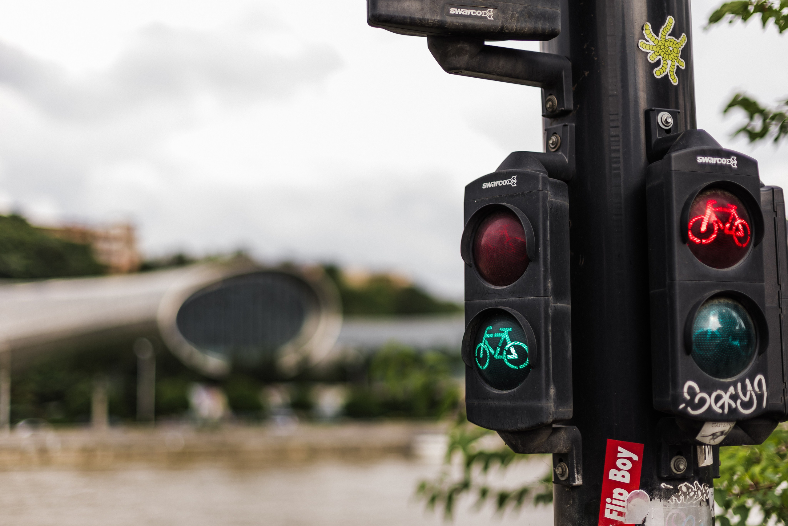 Georgia. Свадебный и семейный фотограф в Краснодаре Роман Моско