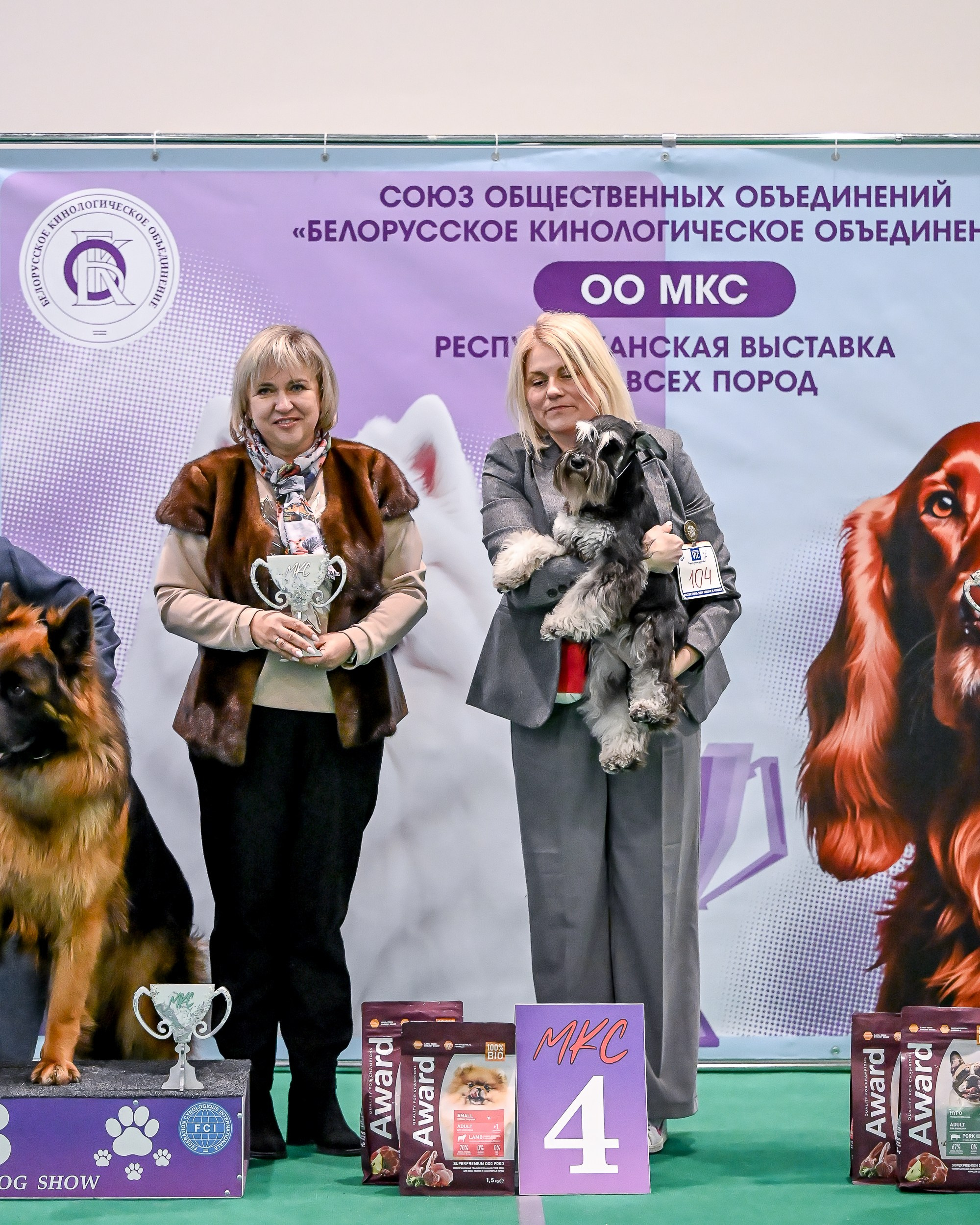 Бъянка/ Delinso Balance Cinzano Bianco. Питомник цвергшнауцеров в Беларуси «Делинсо Бэлэнс»