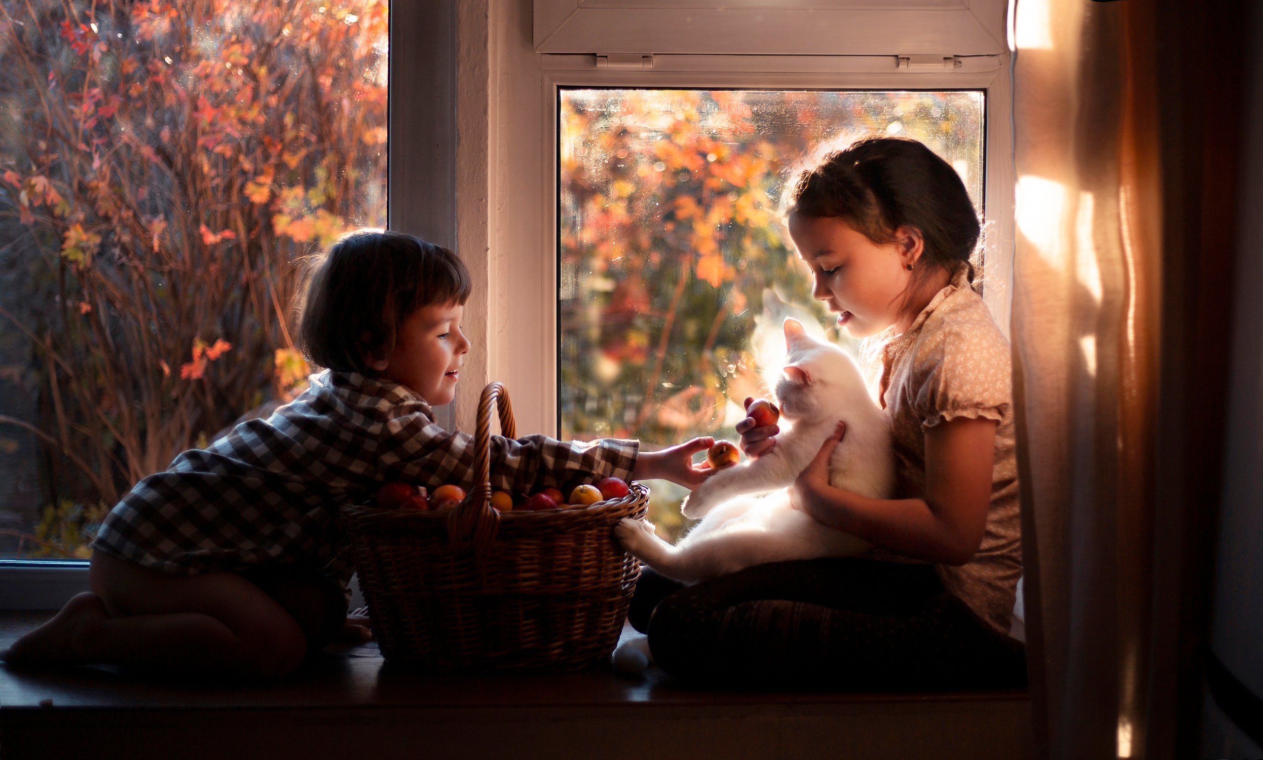 Детская фотография. Семейный и детский фотограф в Караганде, Каркаралинске, Казахстан, Мир