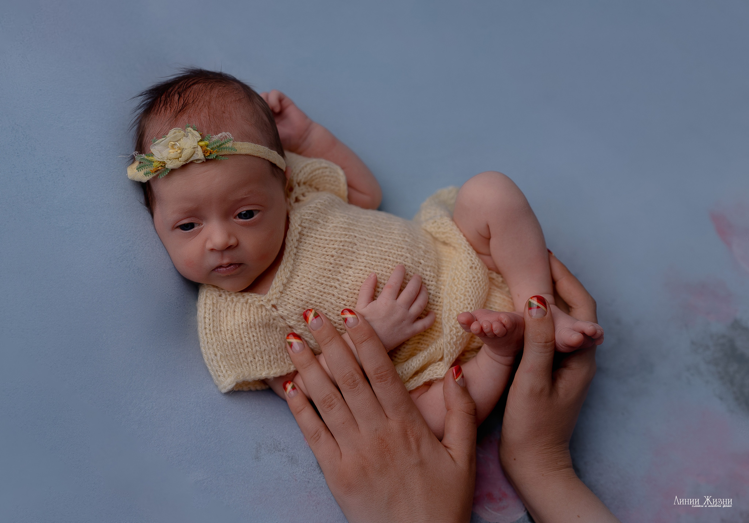 Альбина 14 дней. Фотограф новорожденных в Нижнем Новгороде Сергеева Оксана