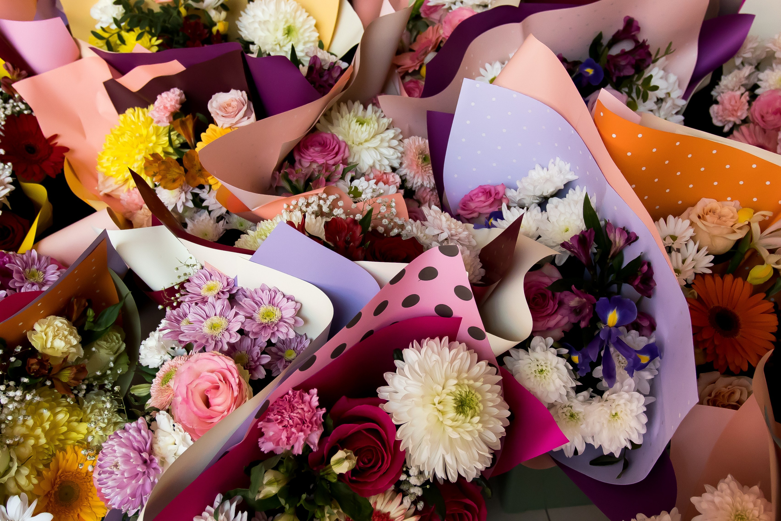 Последний звонок. Фотограф в Иркутске