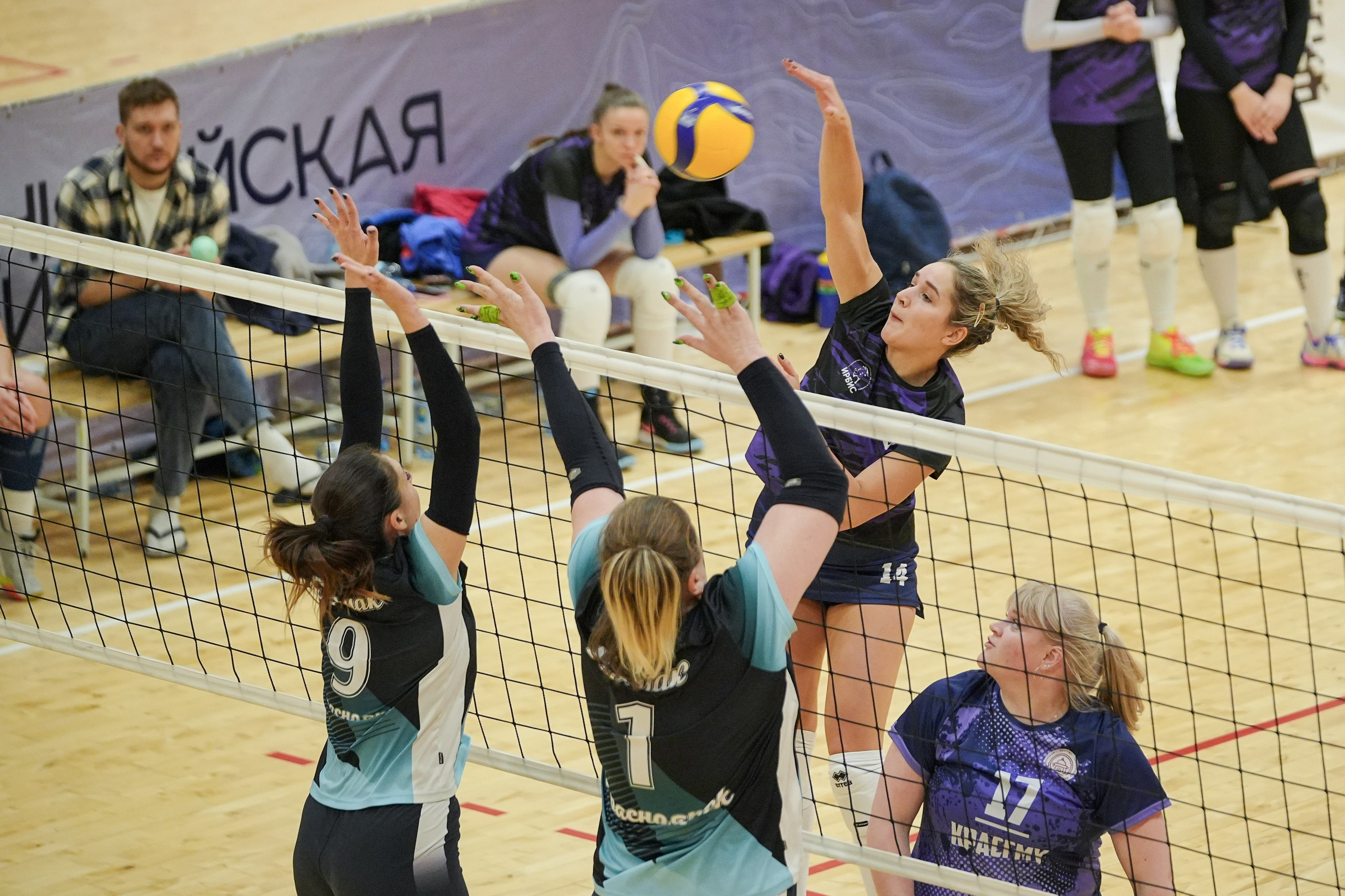 Волейбол. Репортажный фотограф Красноярск Алекс Чампакхам