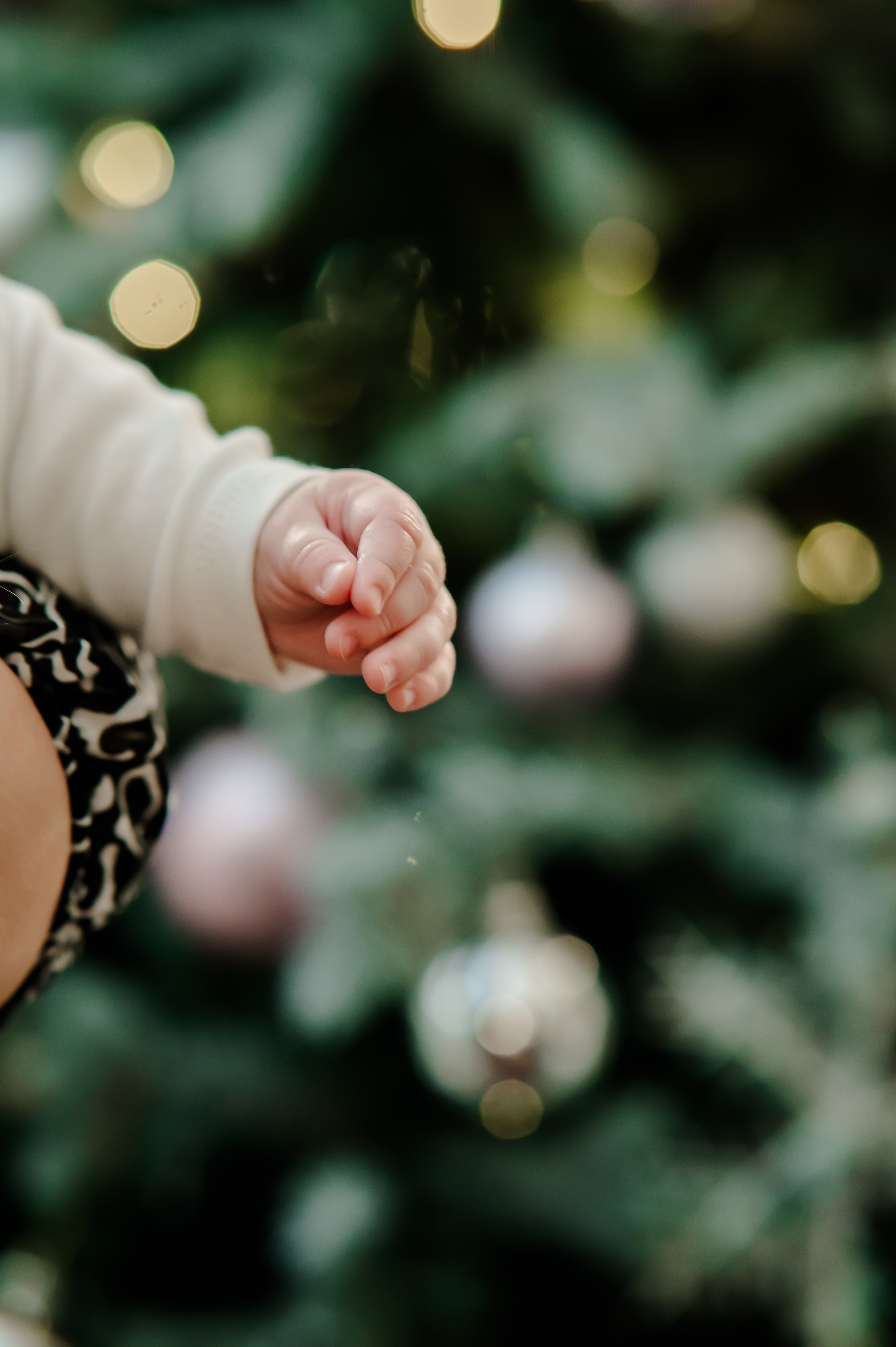 Дом Малютки. Свадебный и семейный фотограф Евгения Кононова