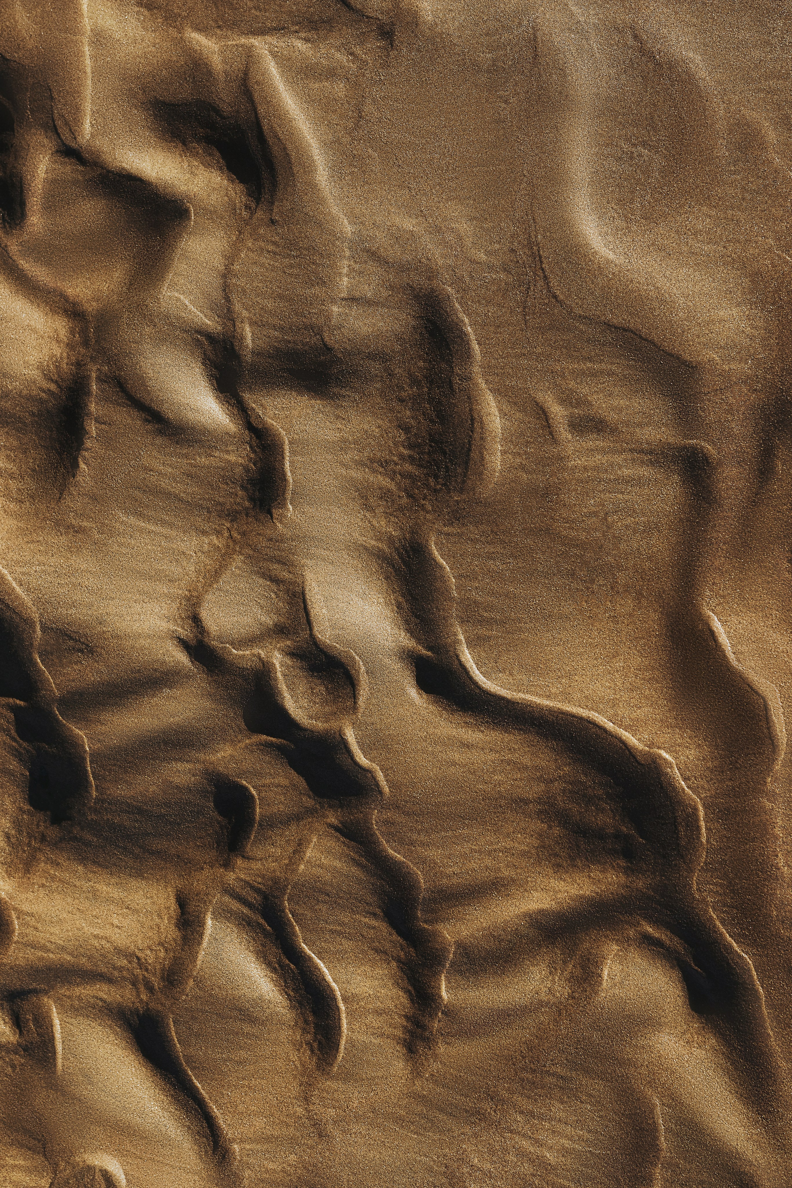 Жизнь. Фотограф Алматы | Весь мир — Никита Колодин