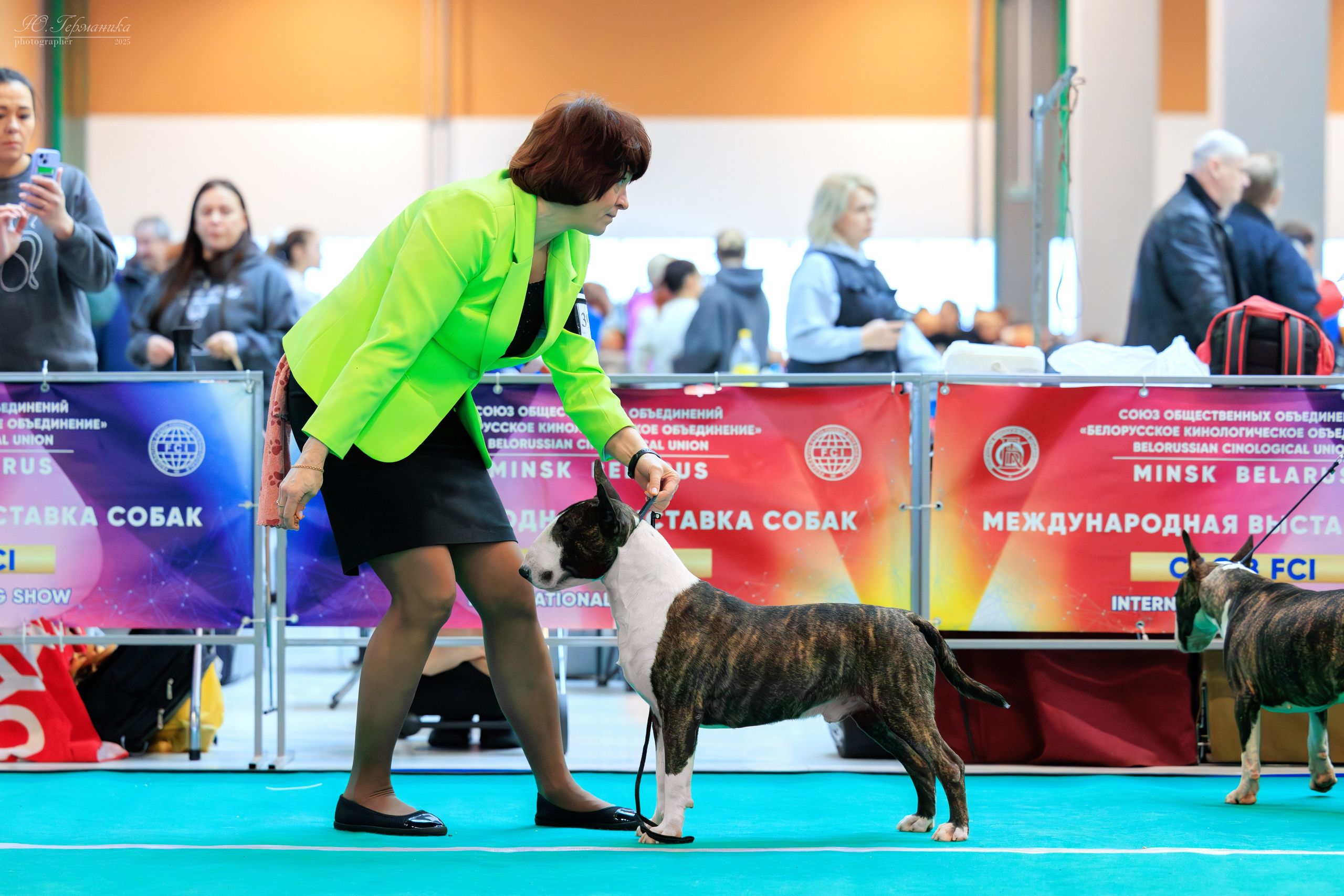 Минск 1-2.03.2025. Фотограф-анималист Юлия Германика