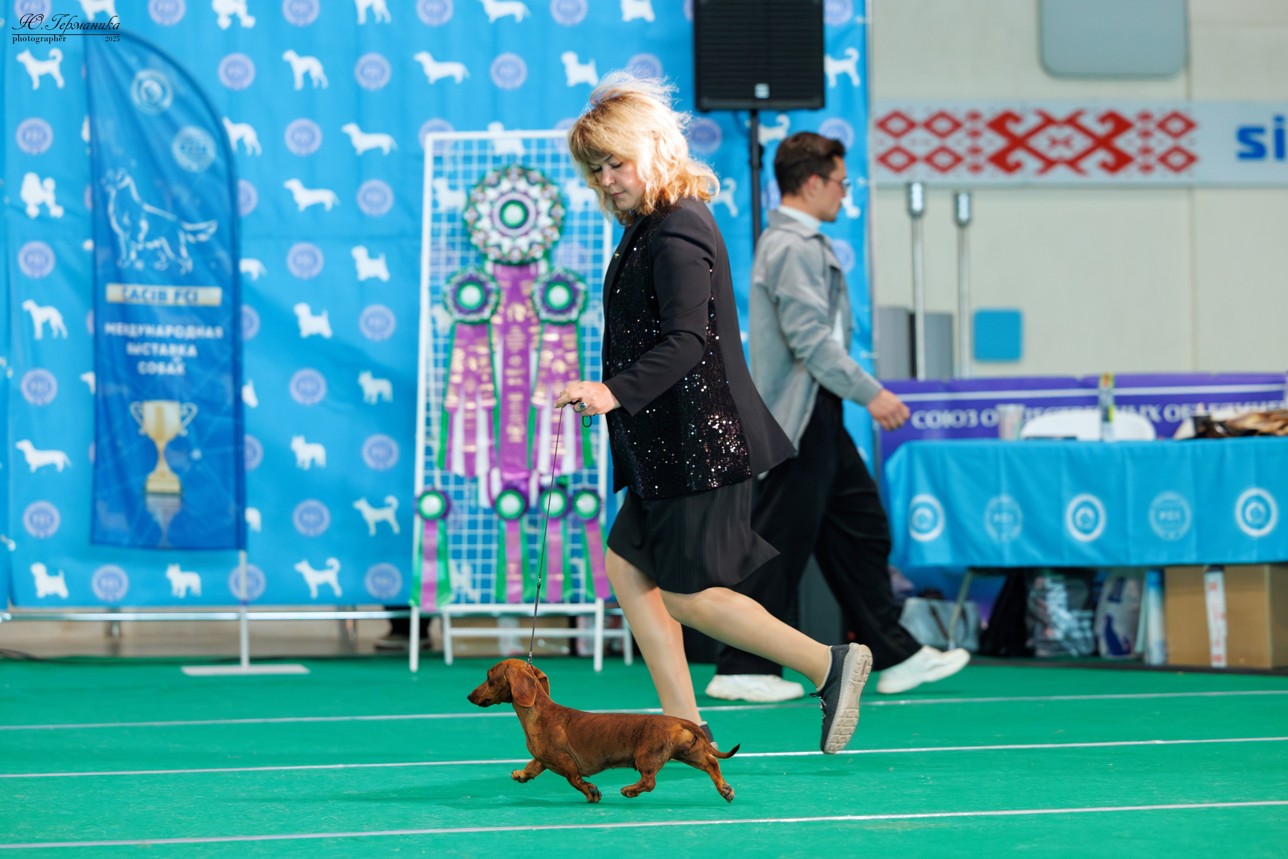 Минск 31.05-1.06.2025. Фотограф-анималист Юлия Германика