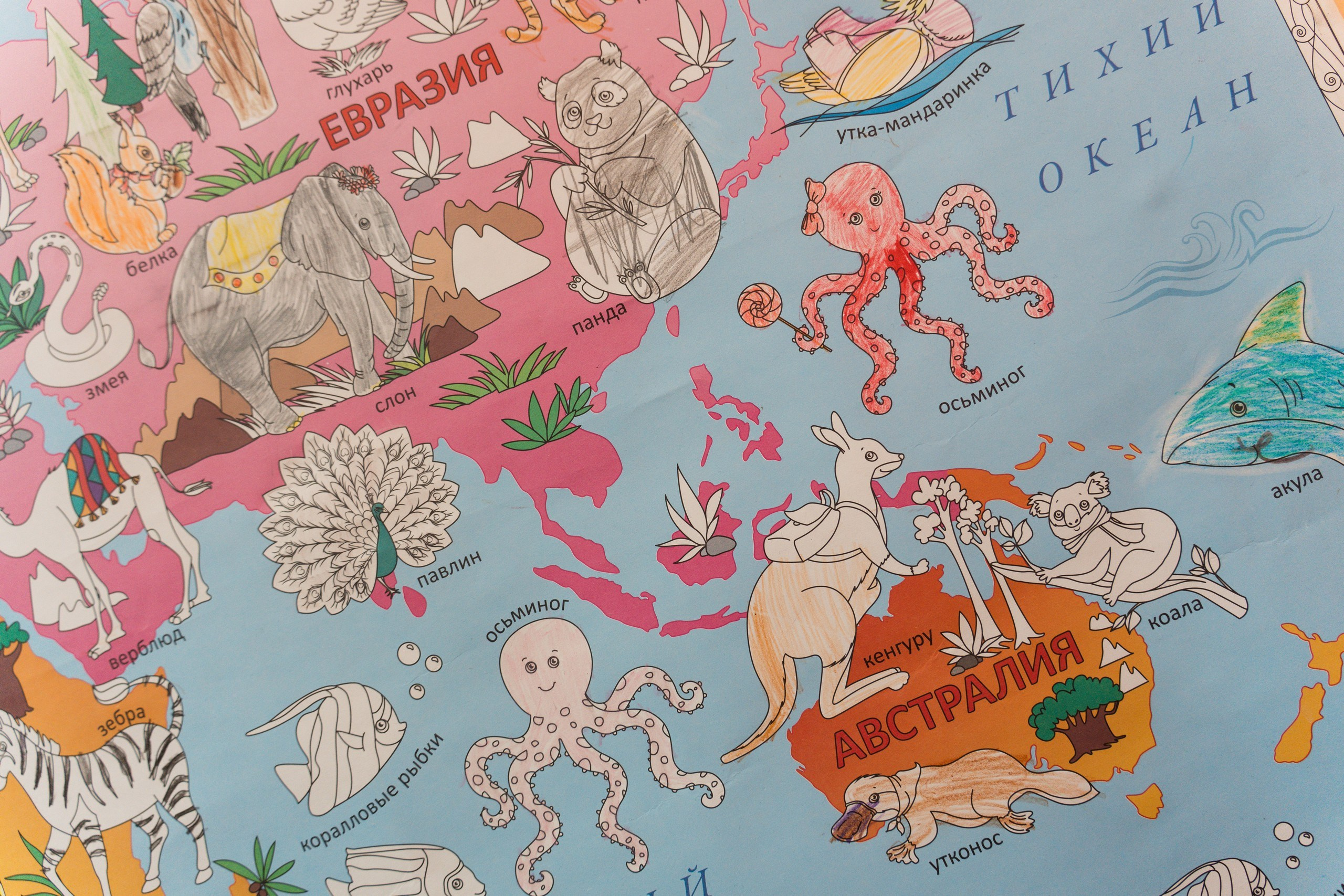 Пятёрка для ребёнка. Репортажная съёмка в Санкт-Петербурге, Константин Петров