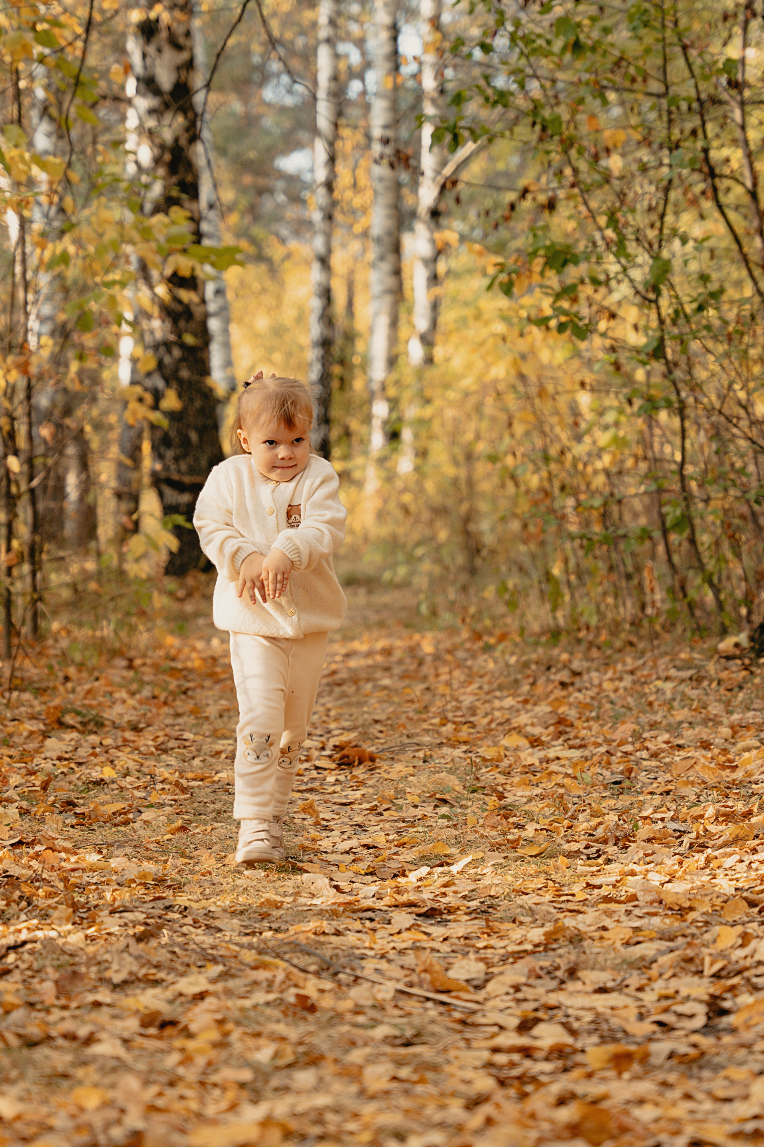 Осенние краски в закате солнца