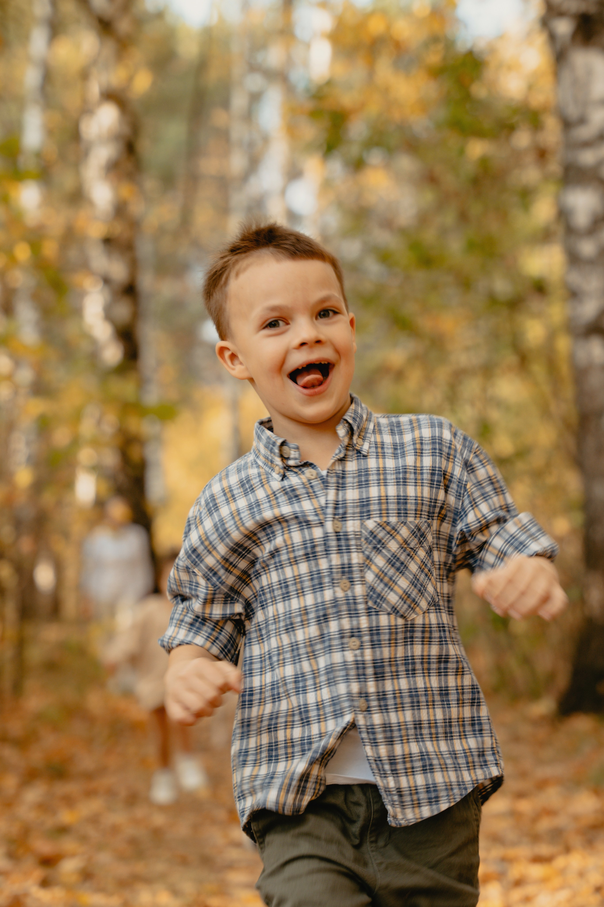 Осенние краски в закате солнца