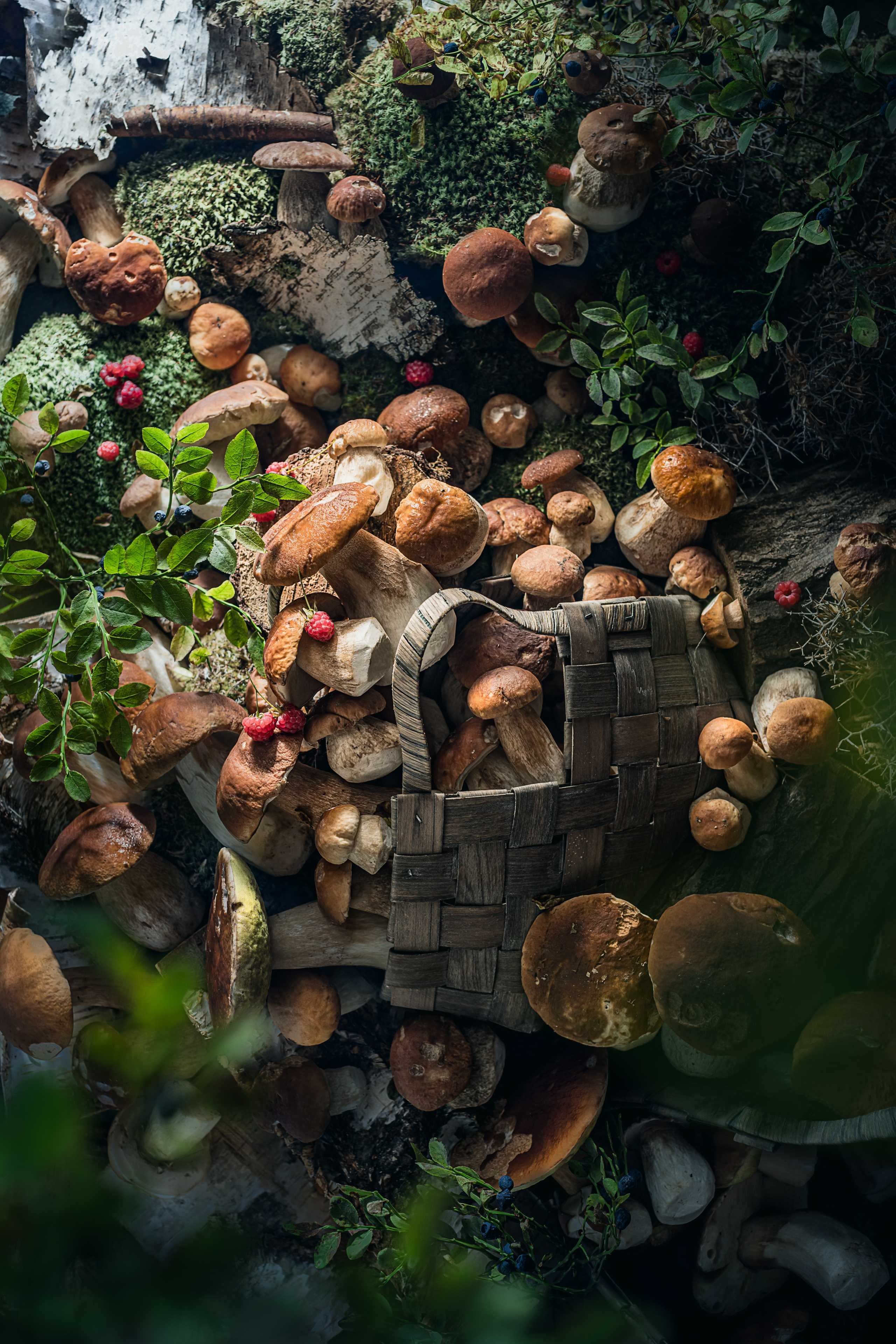 Mushrooms stories «Поляна белых». Foodie Stories (гастрономические истории) рекламная фуд-фотосъёмка, Москва