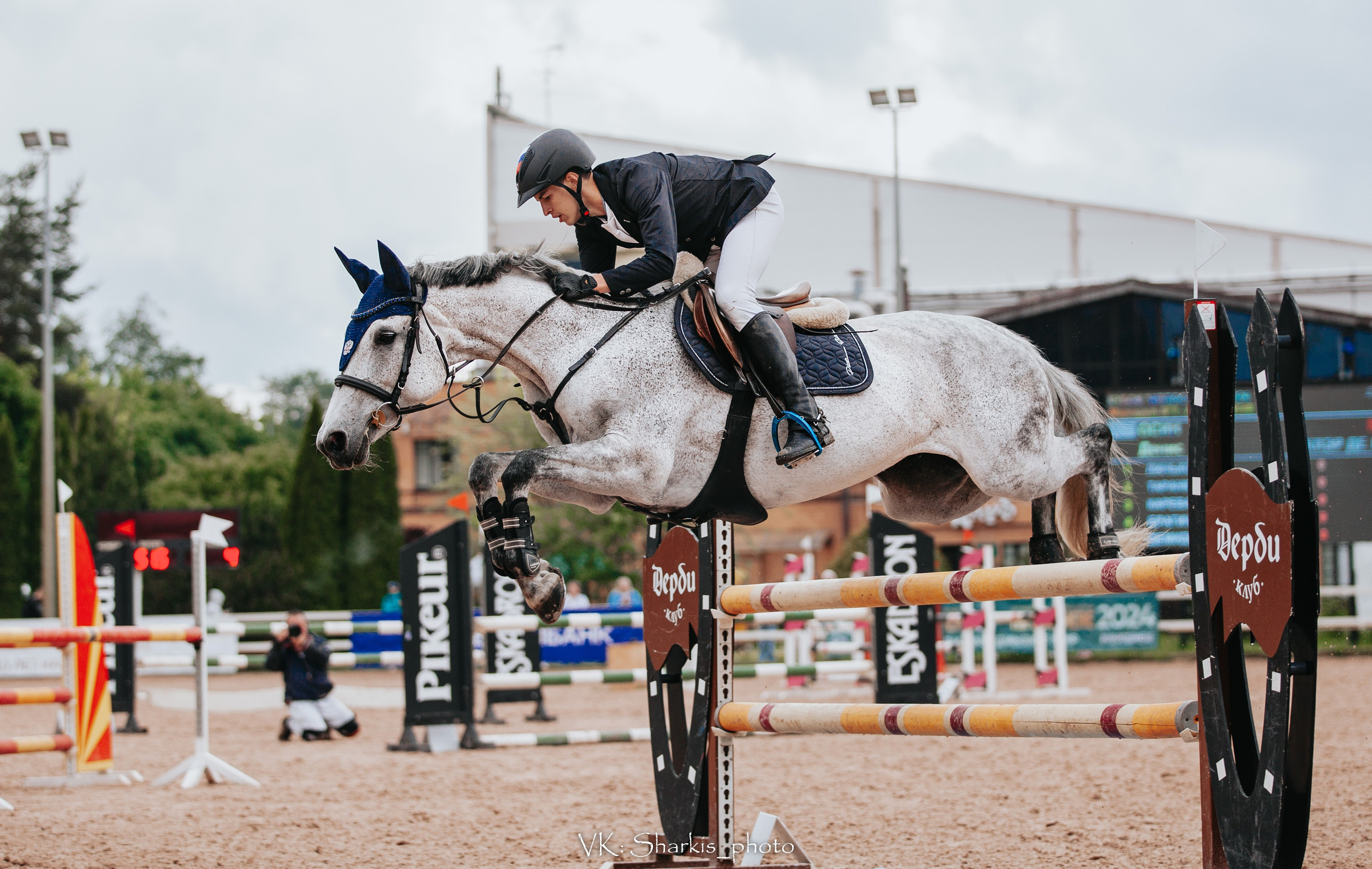 Лошади. Главная