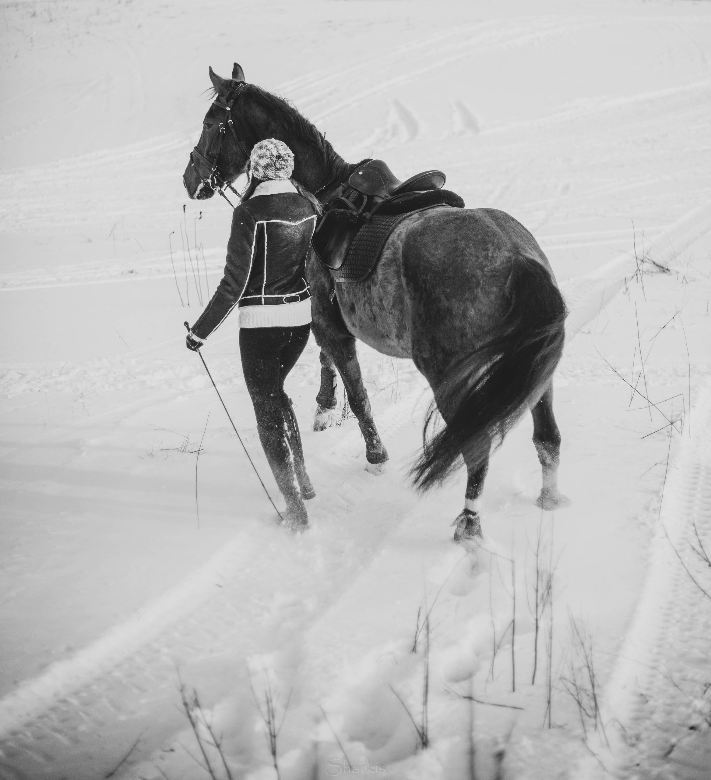 Ирина и Гепард. Фотограф Елизавета Филатова