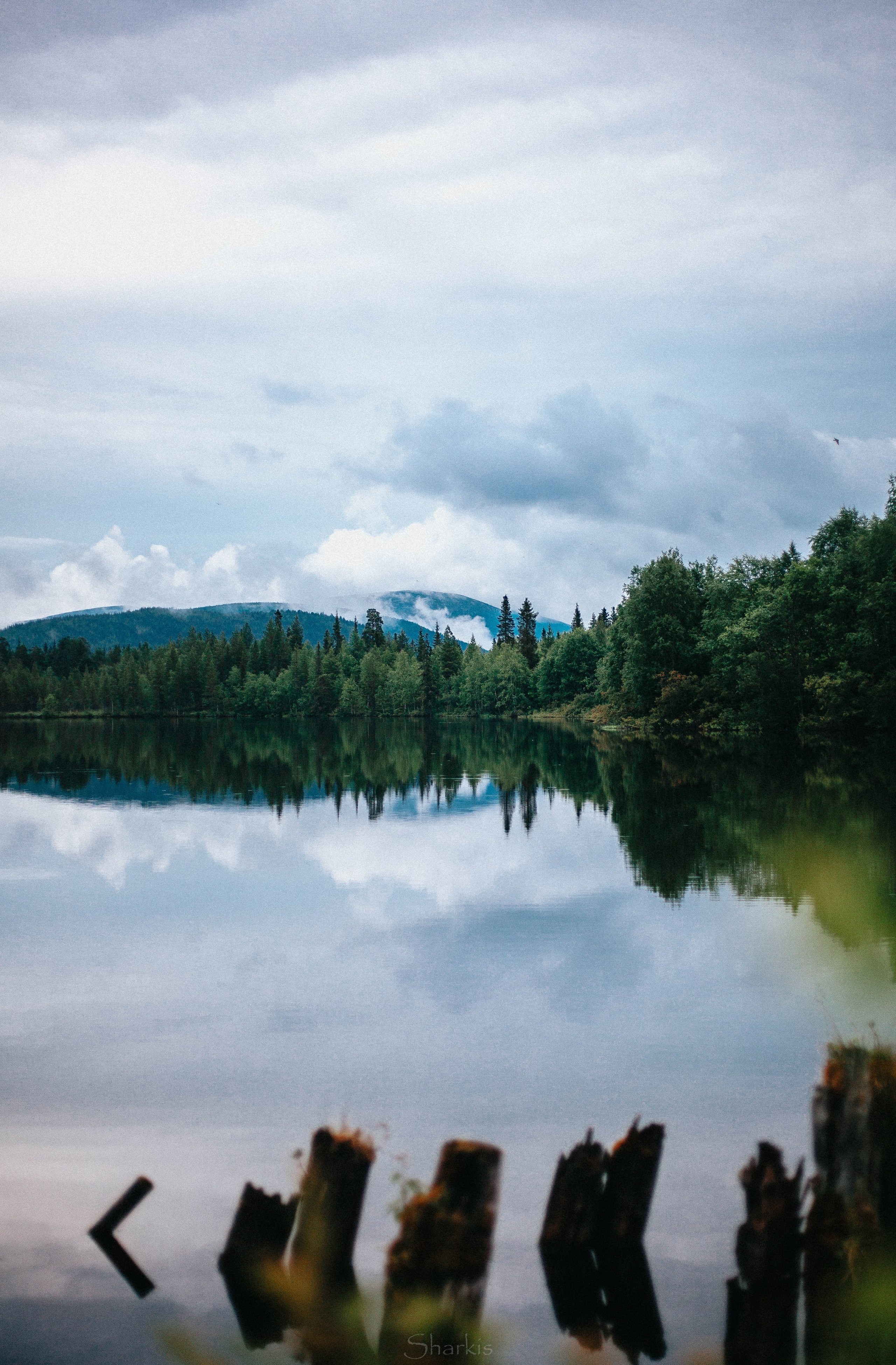 Галерея. Главная