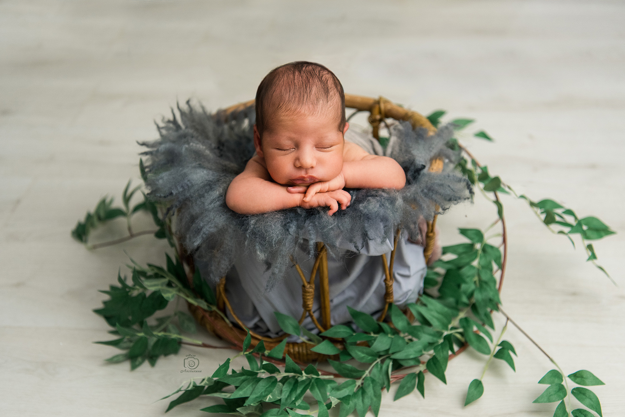 Портфолио новорожденных. Фотограф в Нефтеюганске Мила Аксёнкина