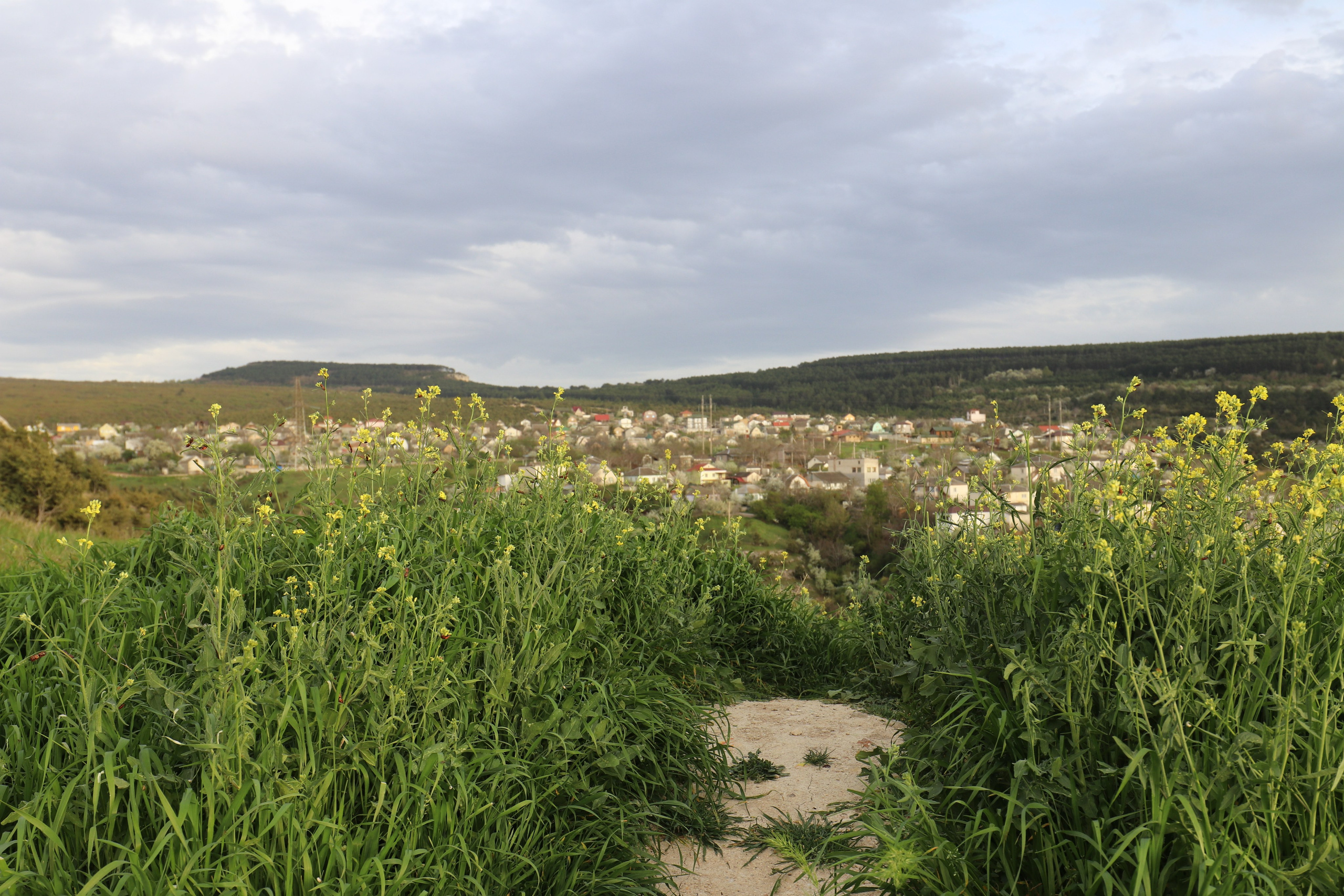 Крым. ЮБК (Бахчисарай, Кастрополь, Таракташская тропа). Май 2021. Путешественник-фотограф из Санкт-Петербурга Татьяна Свистулина